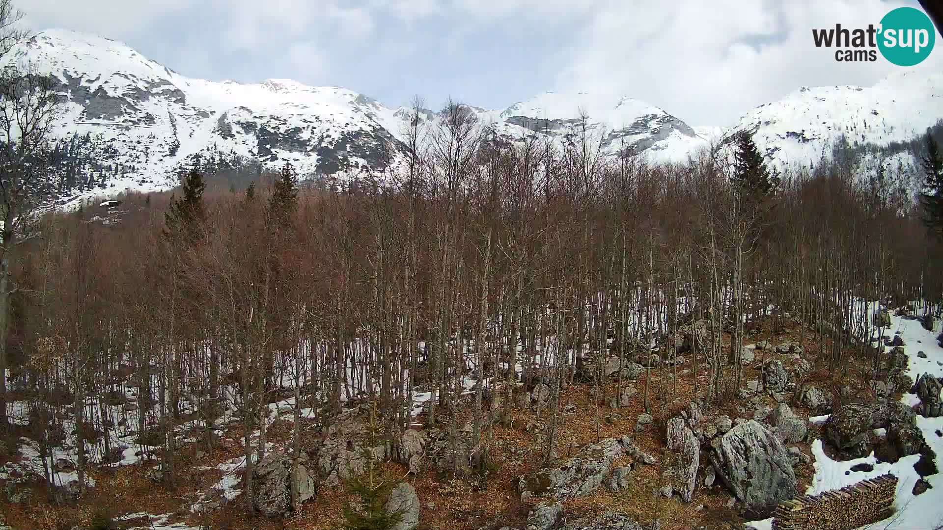 Livecam PLANINA RAZOR (1315) | vue sur Vogel et Globoko