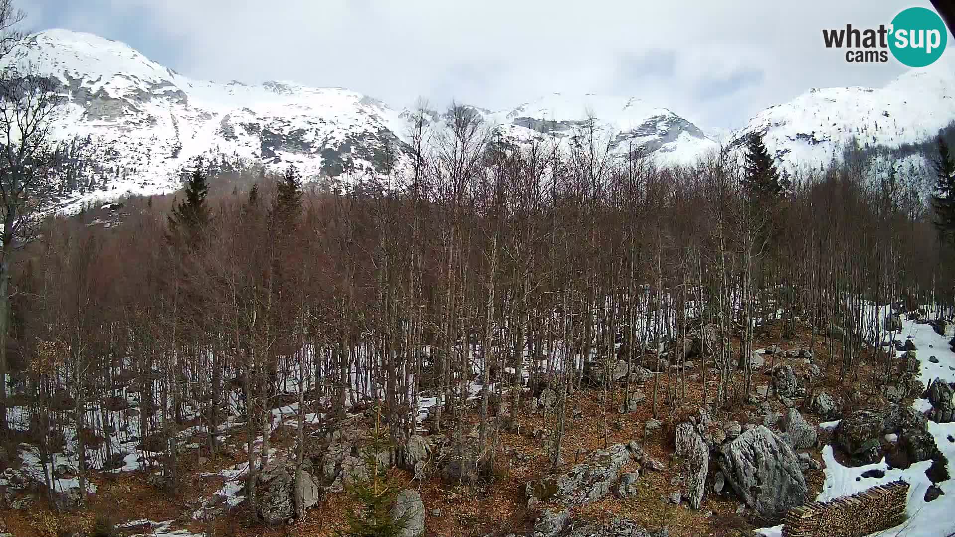 PLANINA RAZOR Live Cam (1315) | vista su Vogel e Globoko