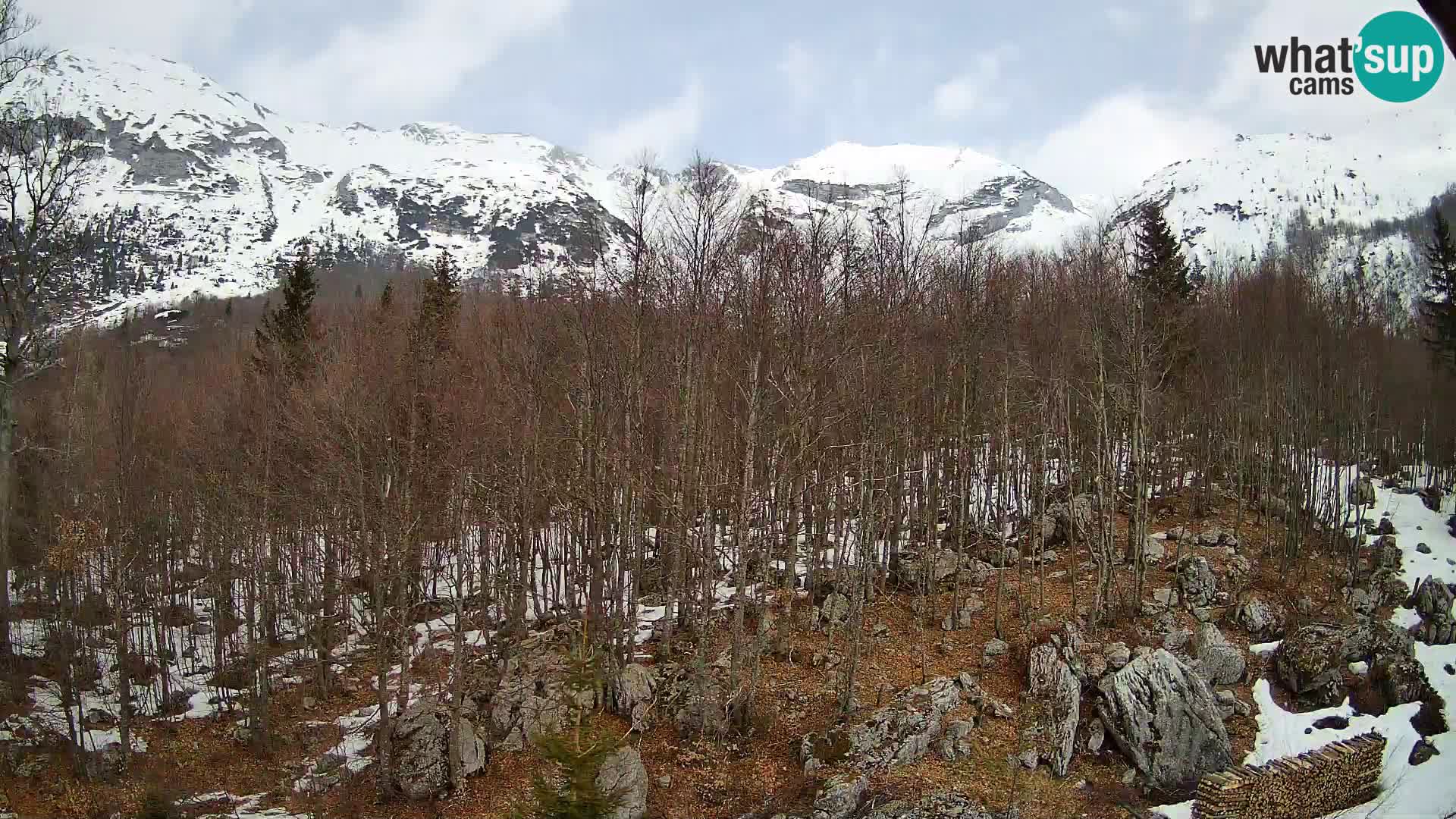 PLANINA RAZOR kamera (1315) | pogled na Vogel in Globoko