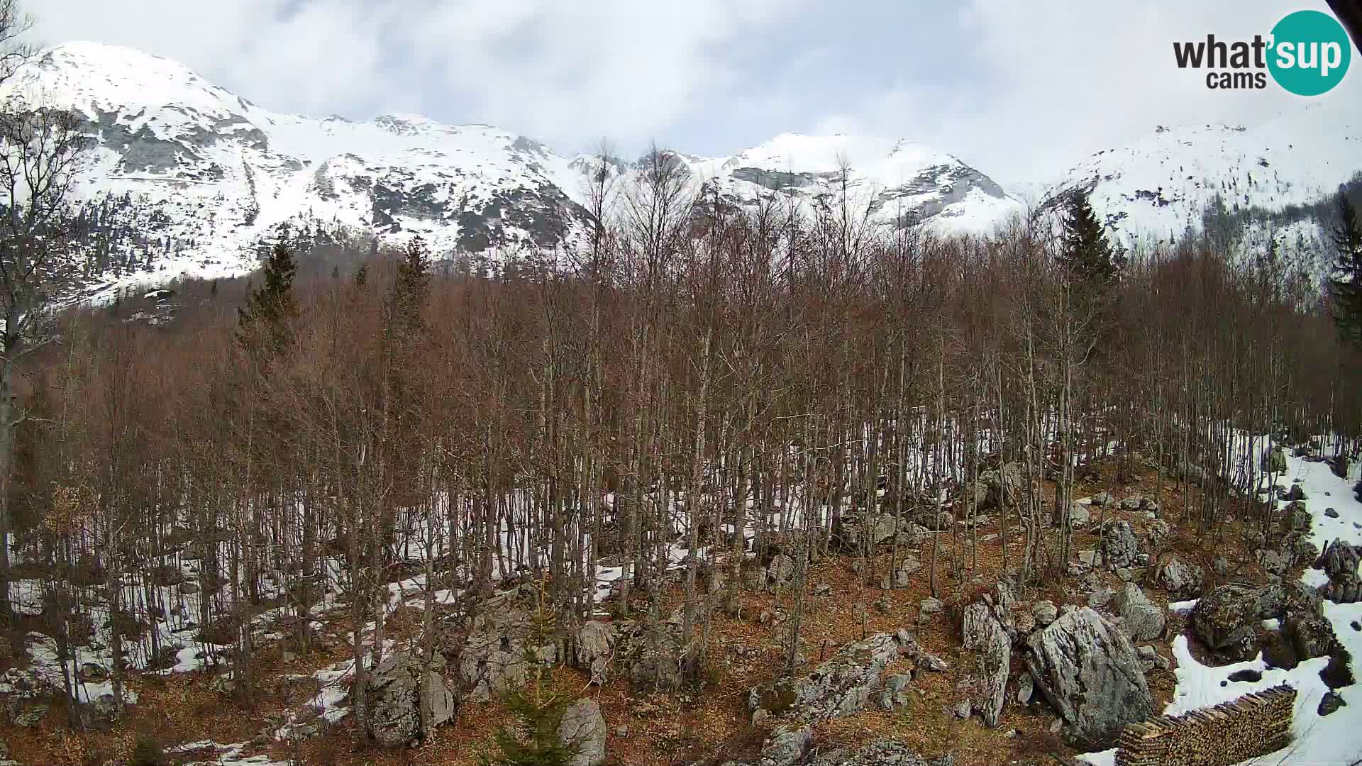 Cámara web PLANINA RAZOR (1315) | vista a Vogel y Globoko