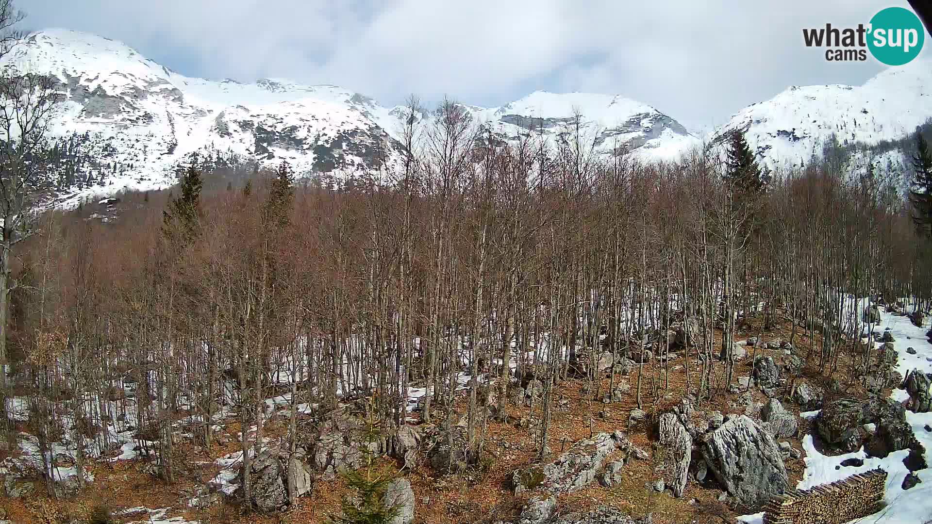 Webcam PLANINA RAZOR (1315) | Blick auf Vogel und Globoko
