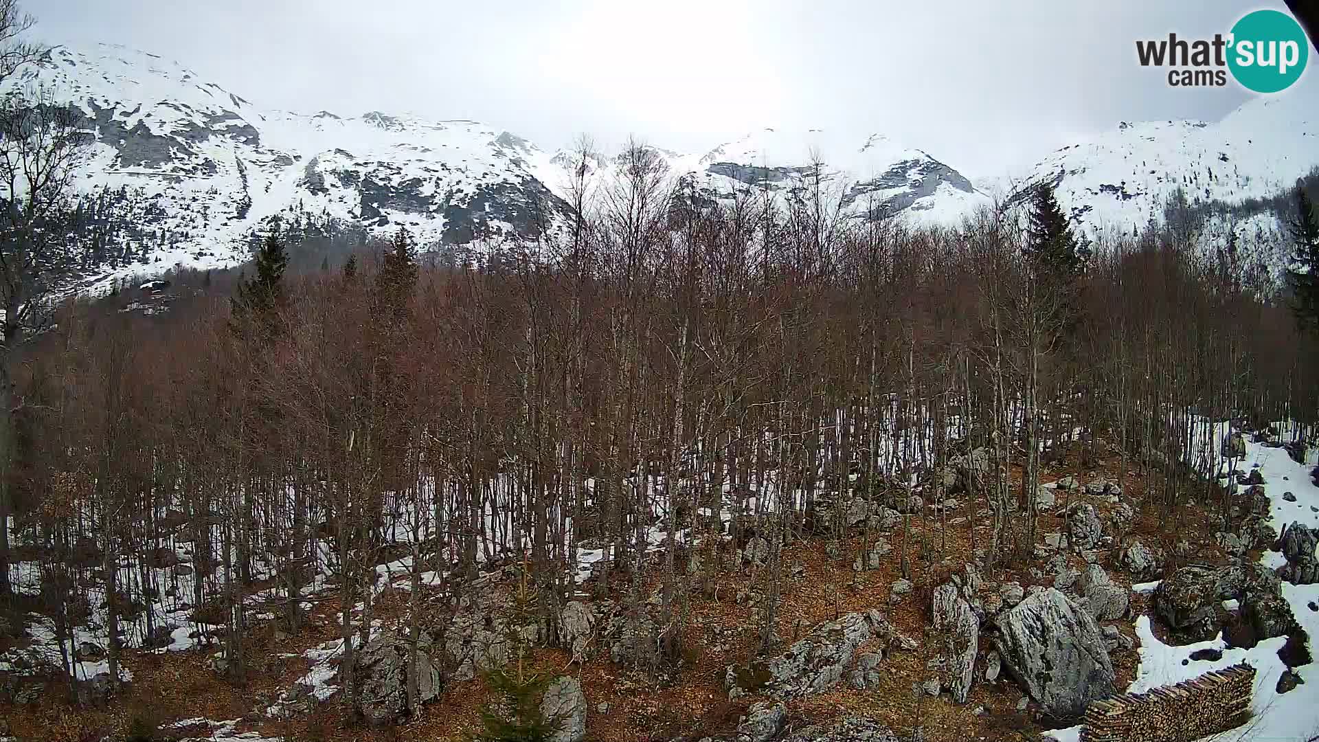 PLANINA RAZOR webcam (1315) | view to Vogel and Globoko