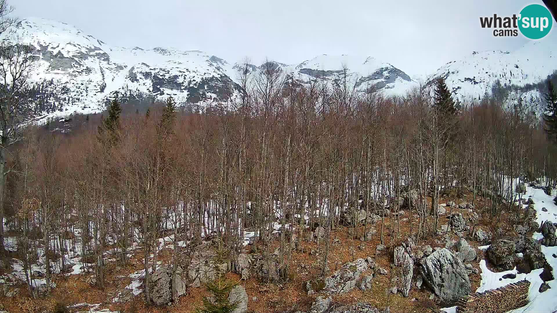 Livecam PLANINA RAZOR (1315) | vue sur Vogel et Globoko