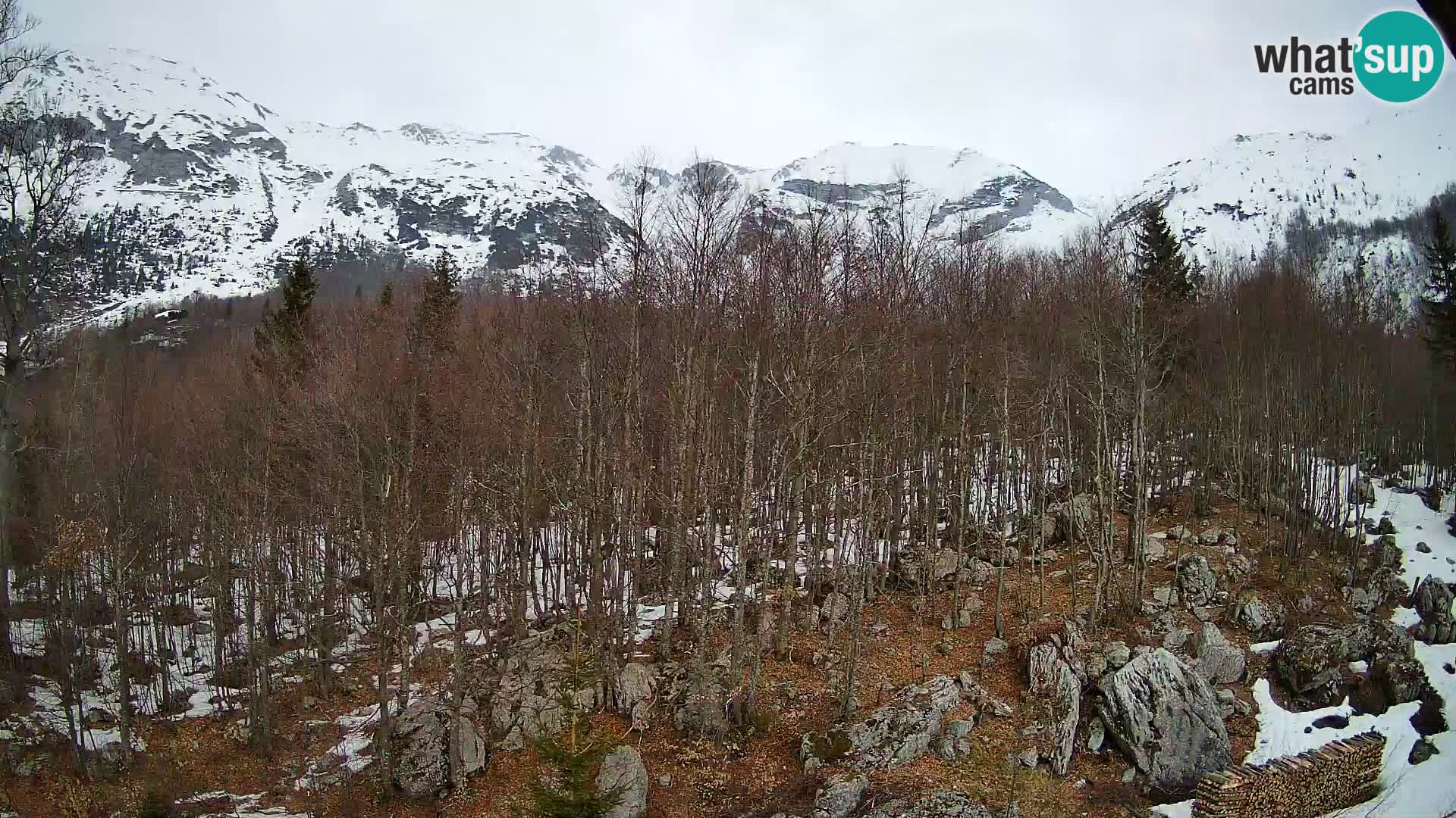 Webcam PLANINA RAZOR (1315) | Blick auf Vogel und Globoko