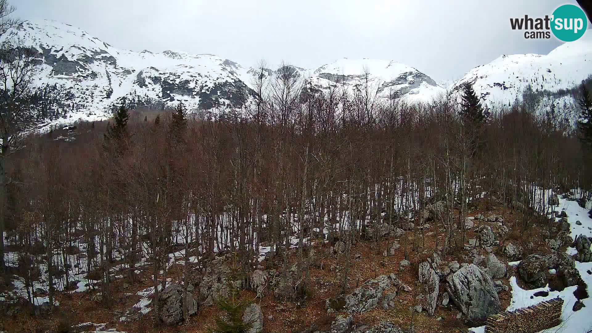 PLANINA RAZOR kamera (1315) | pogled na Vogel in Globoko