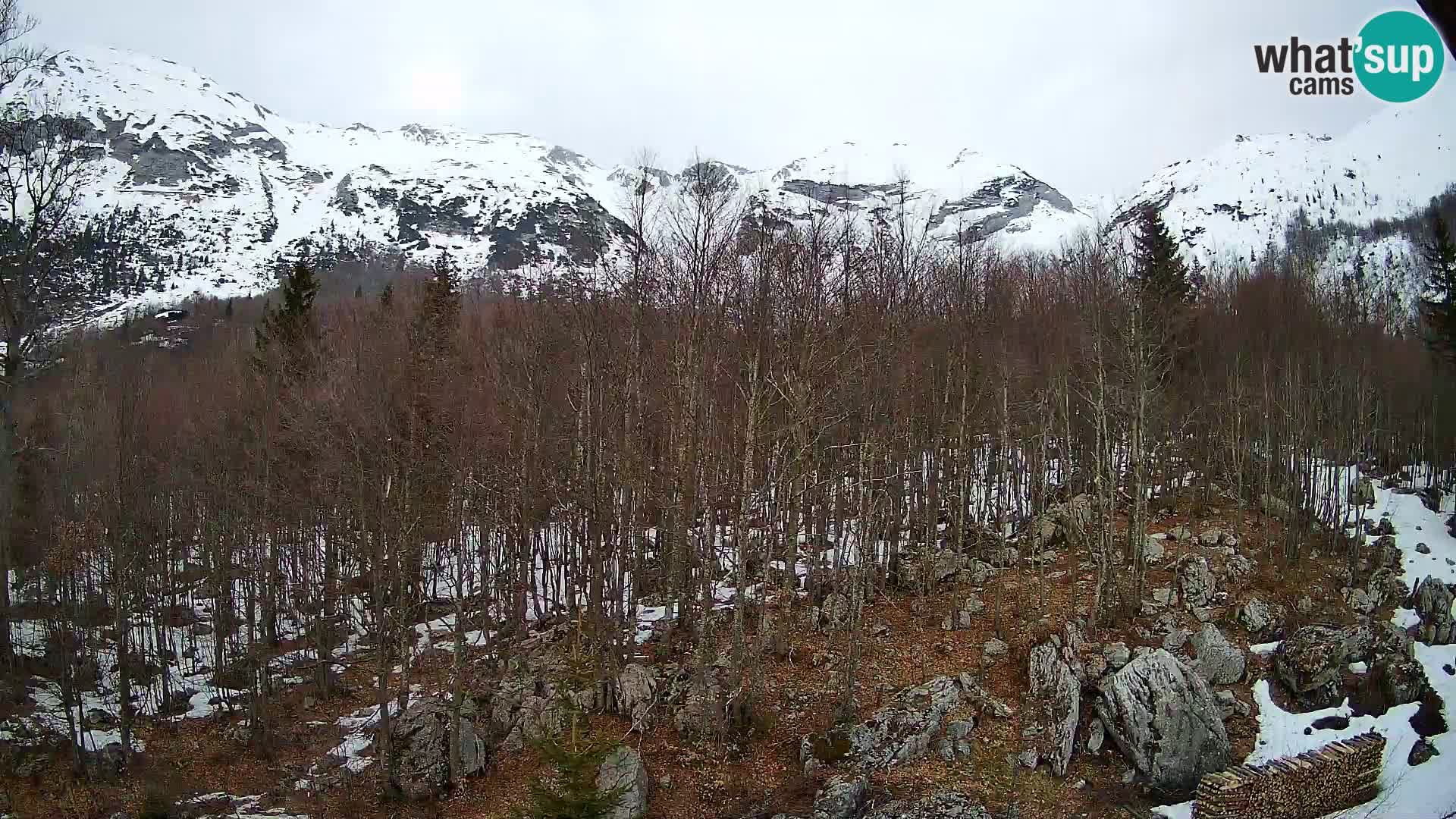 Livecam PLANINA RAZOR (1315) | vue sur Vogel et Globoko