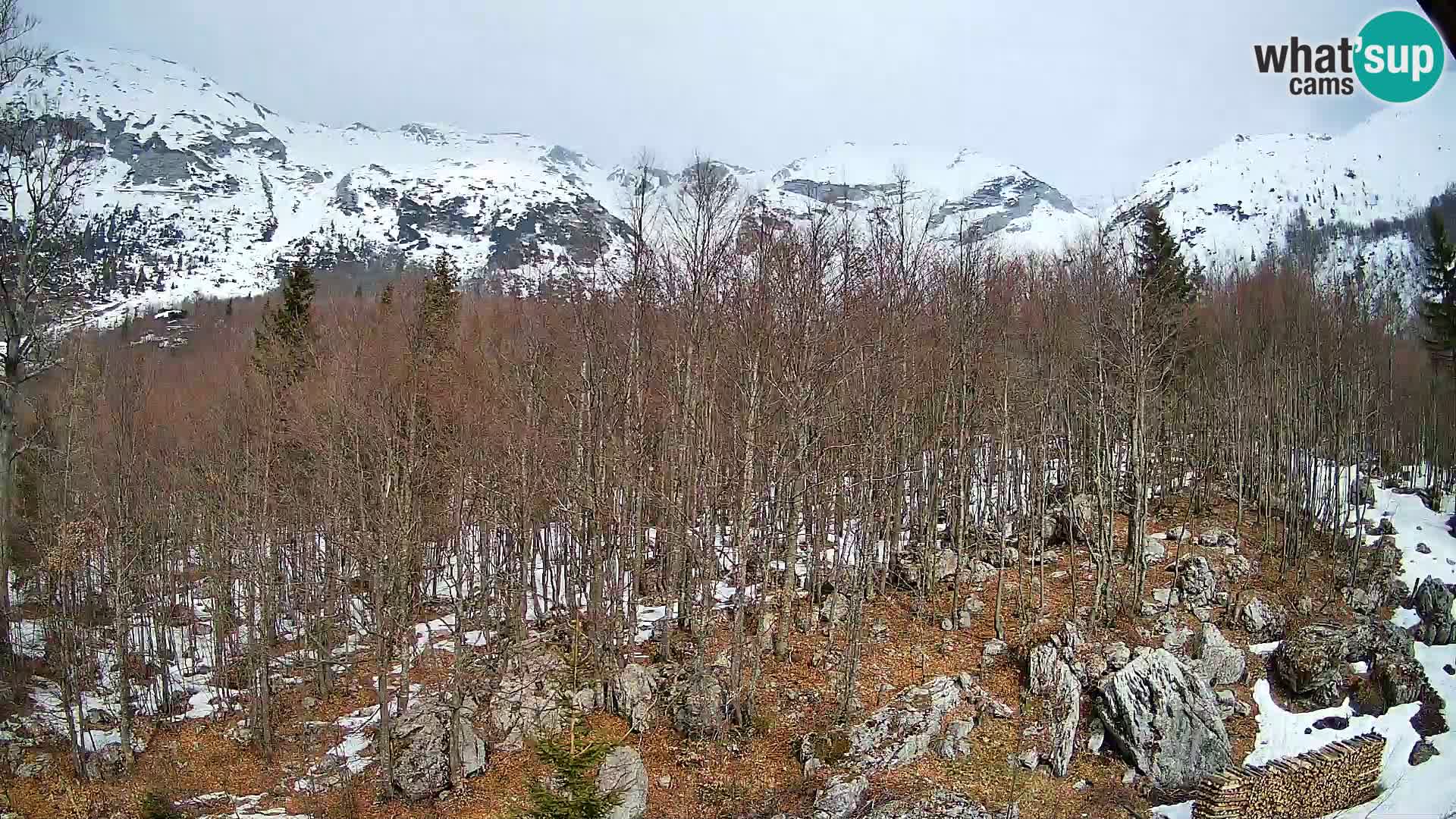PLANINA RAZOR web kamera (1315) | pogled na Vogel i Globoko
