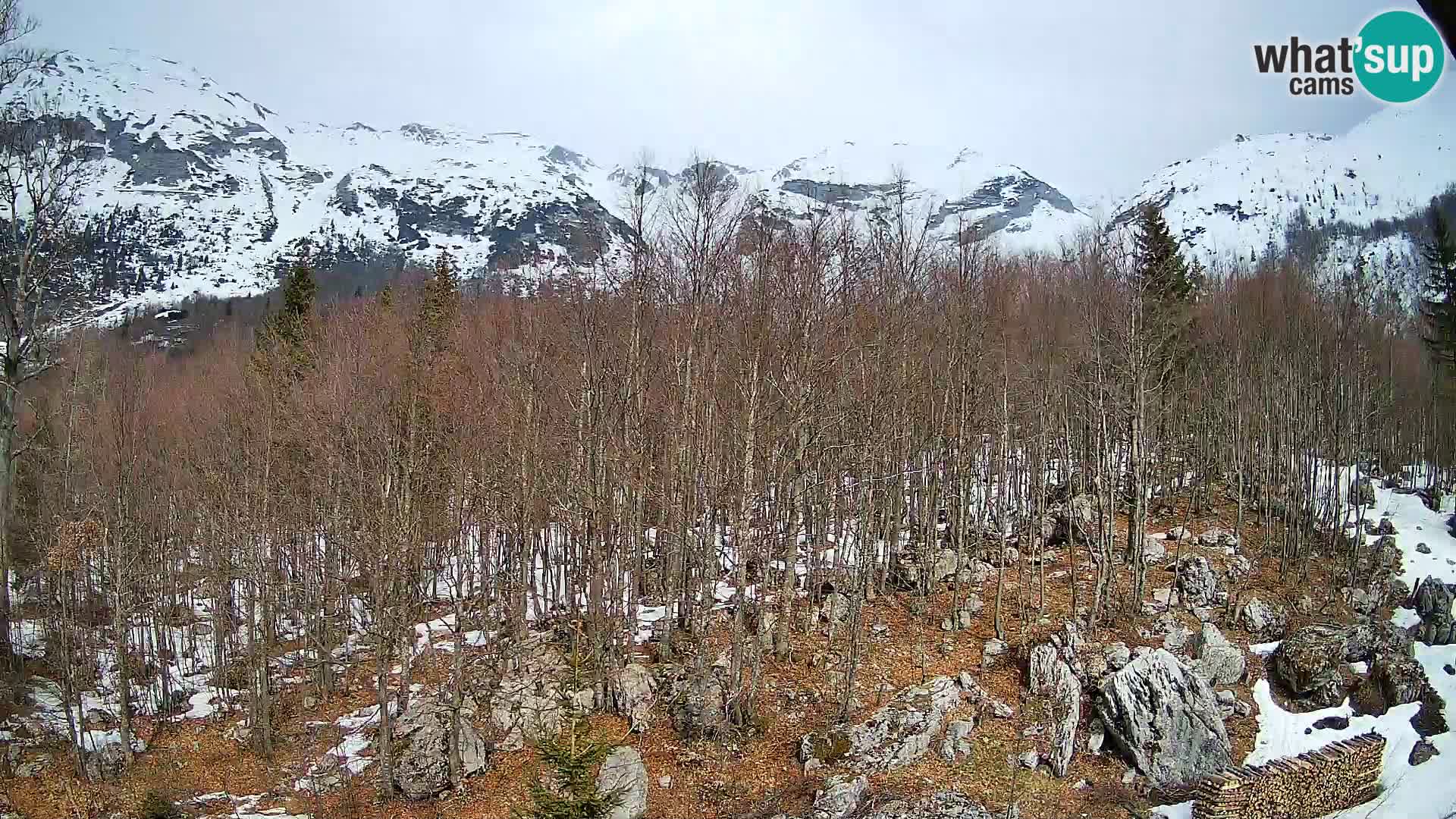 Livecam PLANINA RAZOR (1315) | vue sur Vogel et Globoko