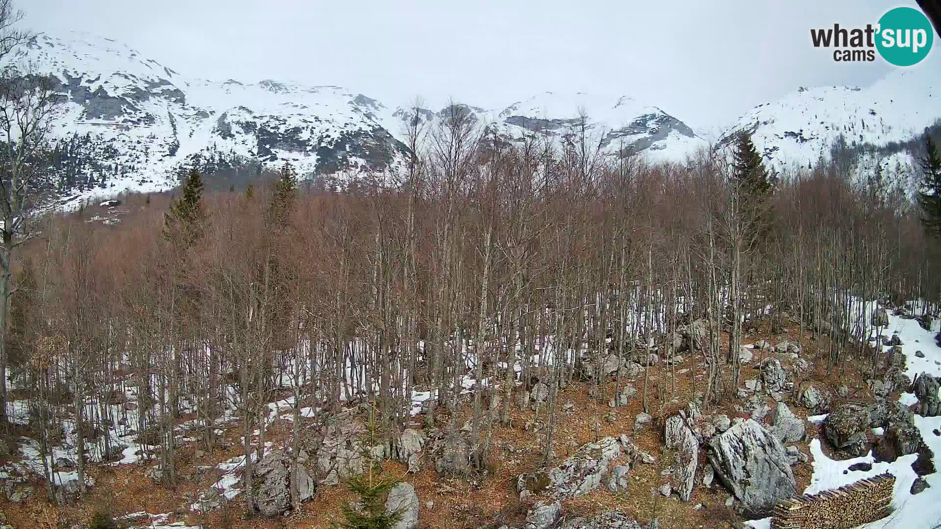 PLANINA RAZOR Live Cam (1315) | vista su Vogel e Globoko