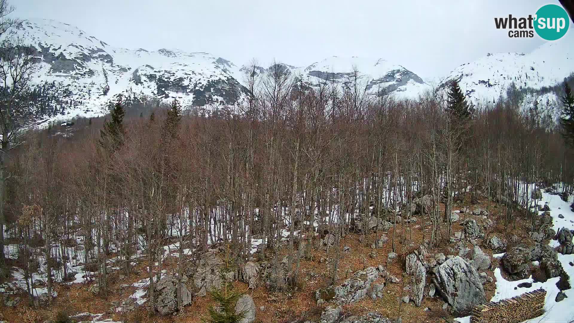 PLANINA RAZOR web kamera (1315) | pogled na Vogel i Globoko