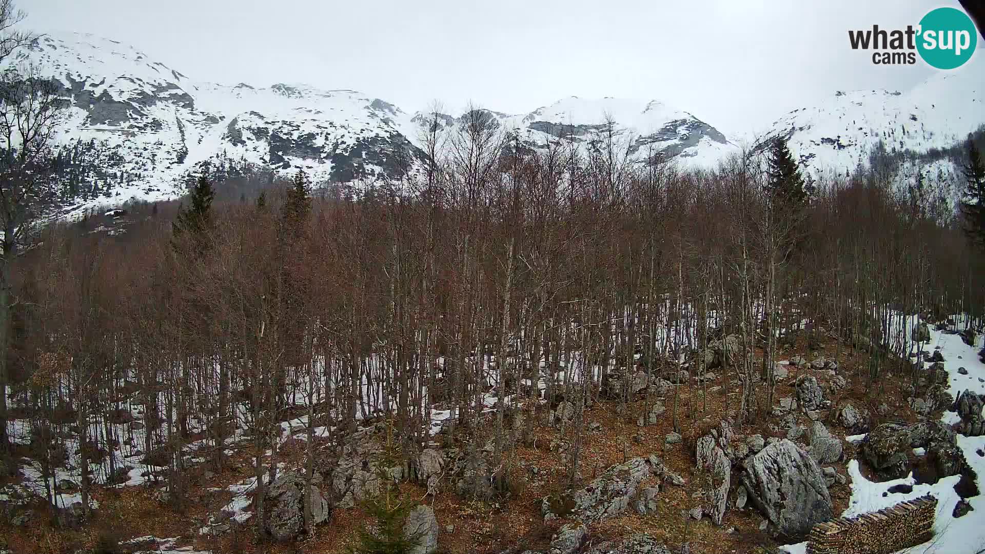 Cámara web PLANINA RAZOR (1315) | vista a Vogel y Globoko