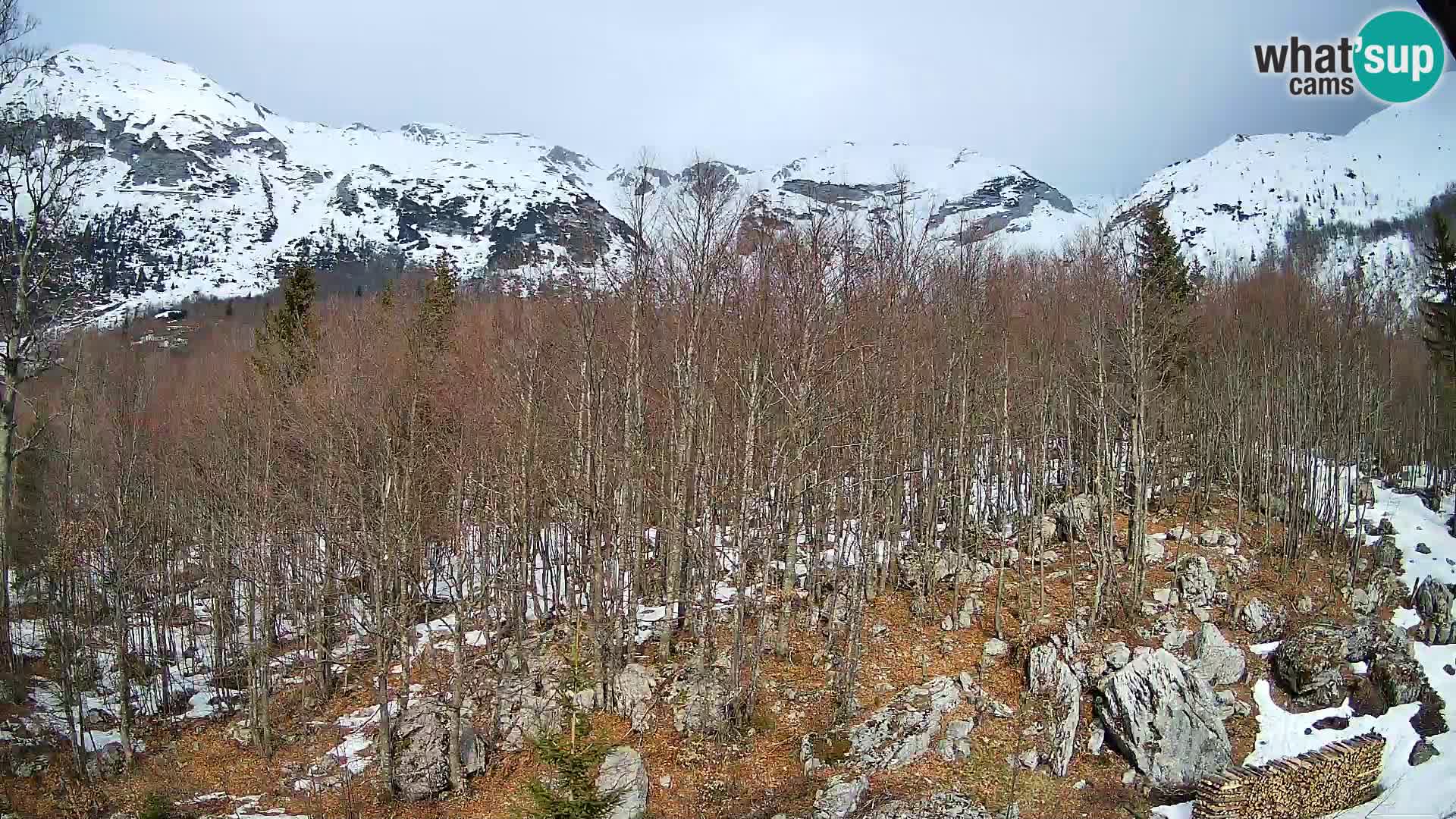 Cámara web PLANINA RAZOR (1315) | vista a Vogel y Globoko