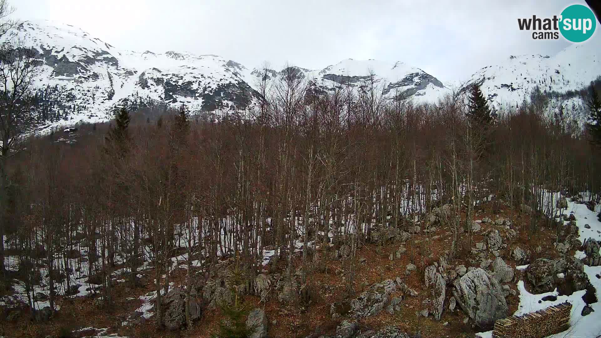 PLANINA RAZOR webcam (1315) | view to Vogel and Globoko