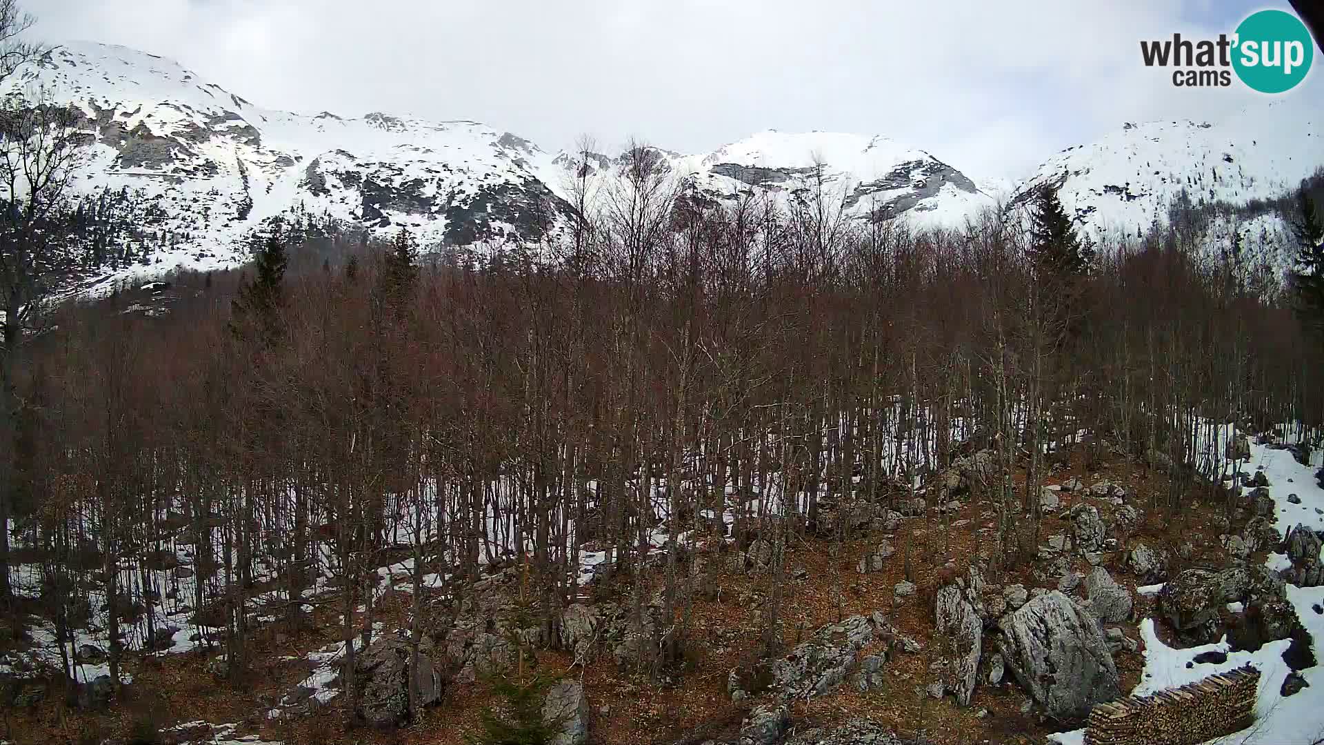 Webcam PLANINA RAZOR (1315) | Blick auf Vogel und Globoko