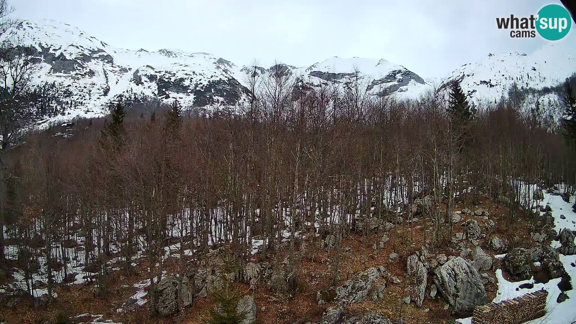 PLANINA RAZOR Live Cam (1315) | vista su Vogel e Globoko