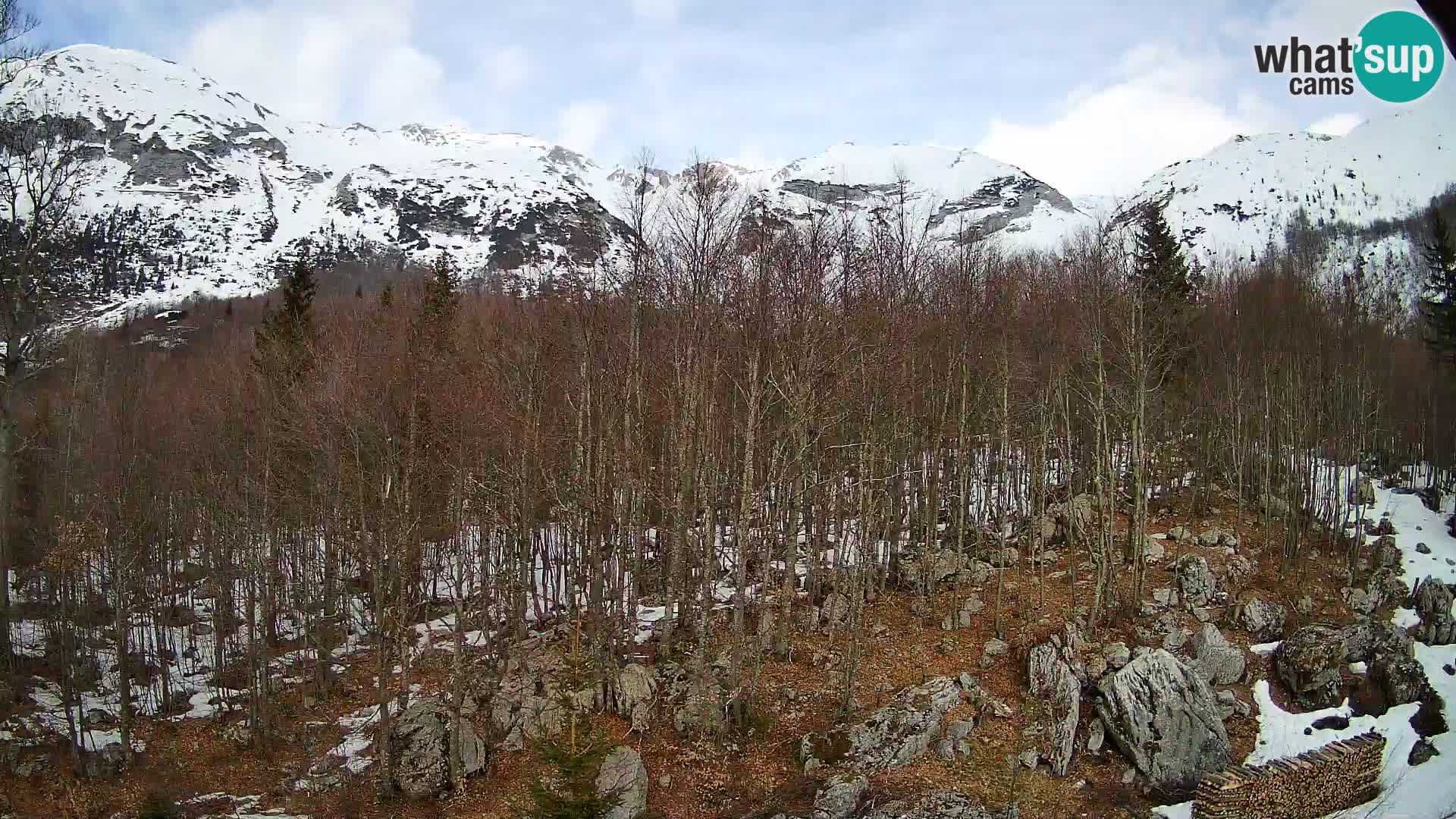 Webcam PLANINA RAZOR (1315) | Blick auf Vogel und Globoko