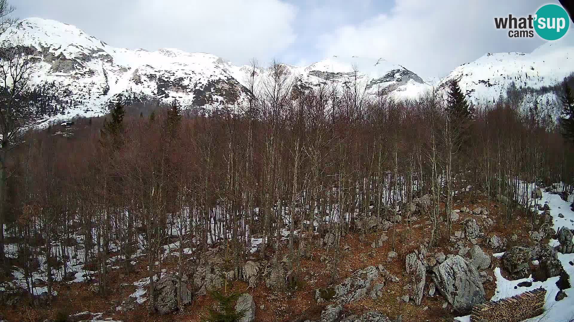 Livecam PLANINA RAZOR (1315) | vue sur Vogel et Globoko