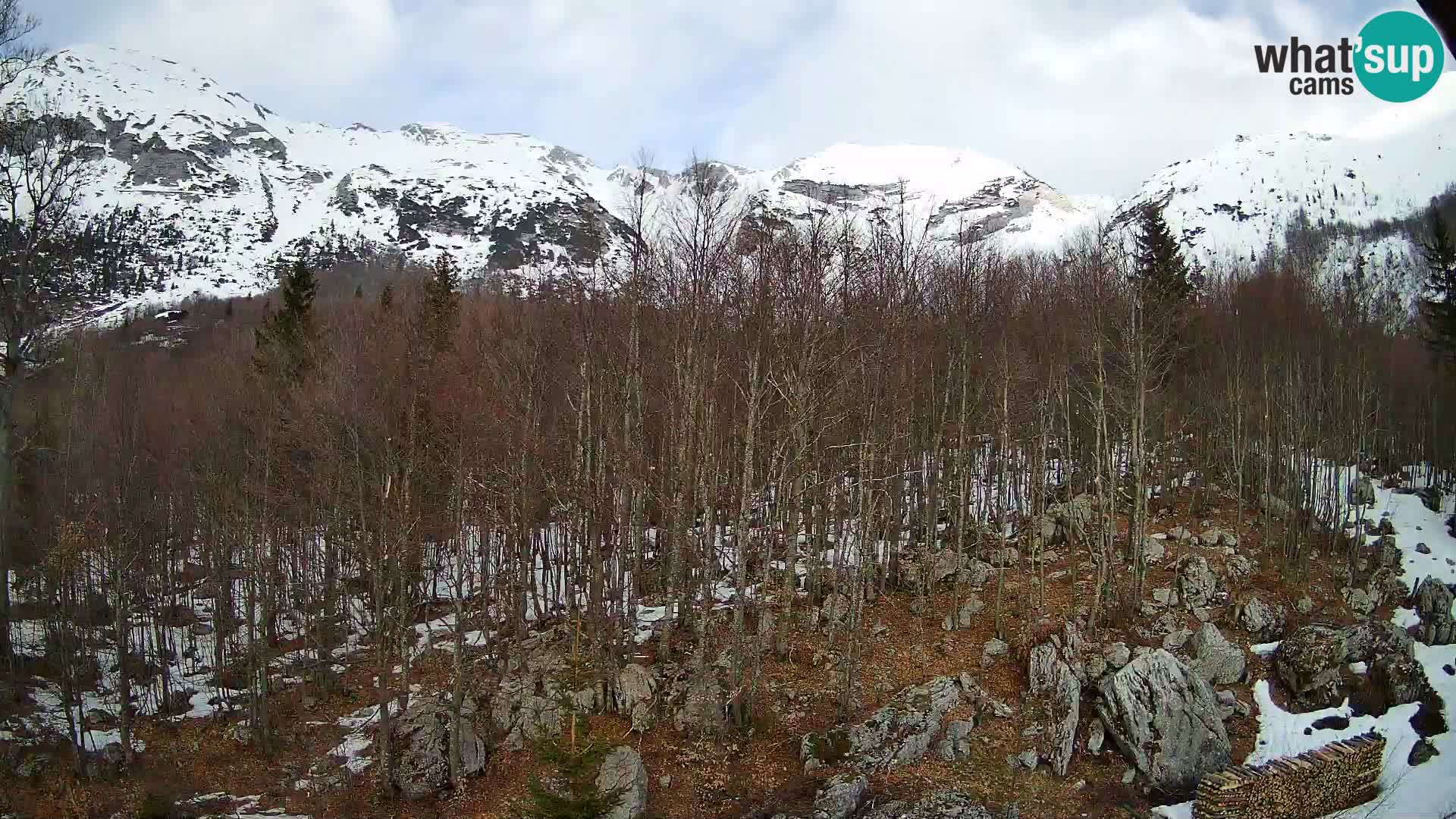 Livecam PLANINA RAZOR (1315) | vue sur Vogel et Globoko