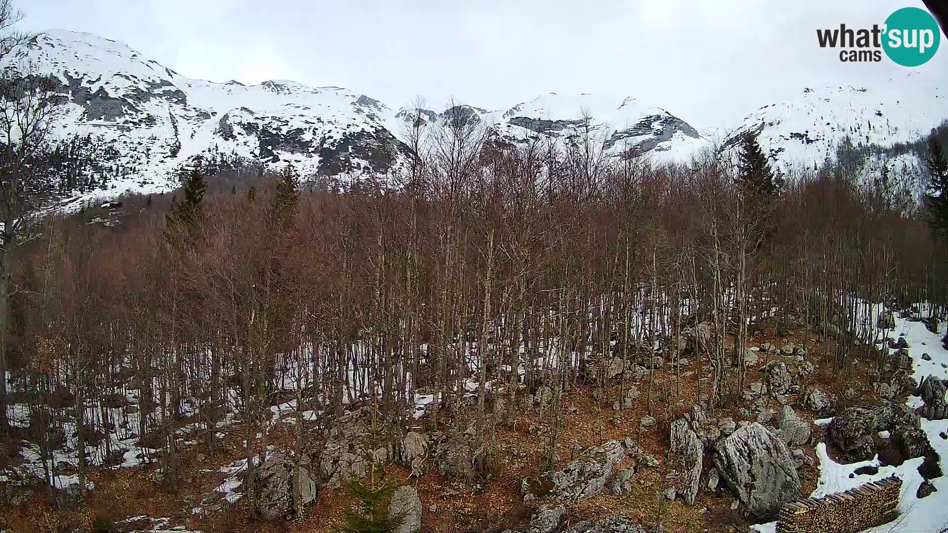 PLANINA RAZOR webcam (1315) | view to Vogel and Globoko