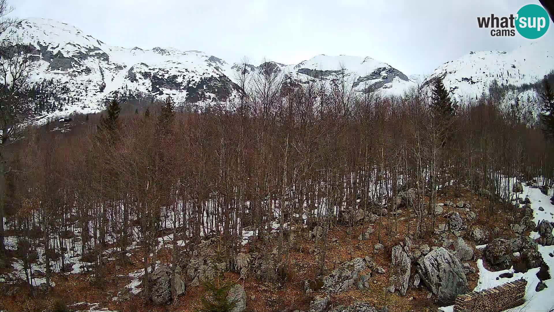 Webcam PLANINA RAZOR (1315) | Blick auf Vogel und Globoko