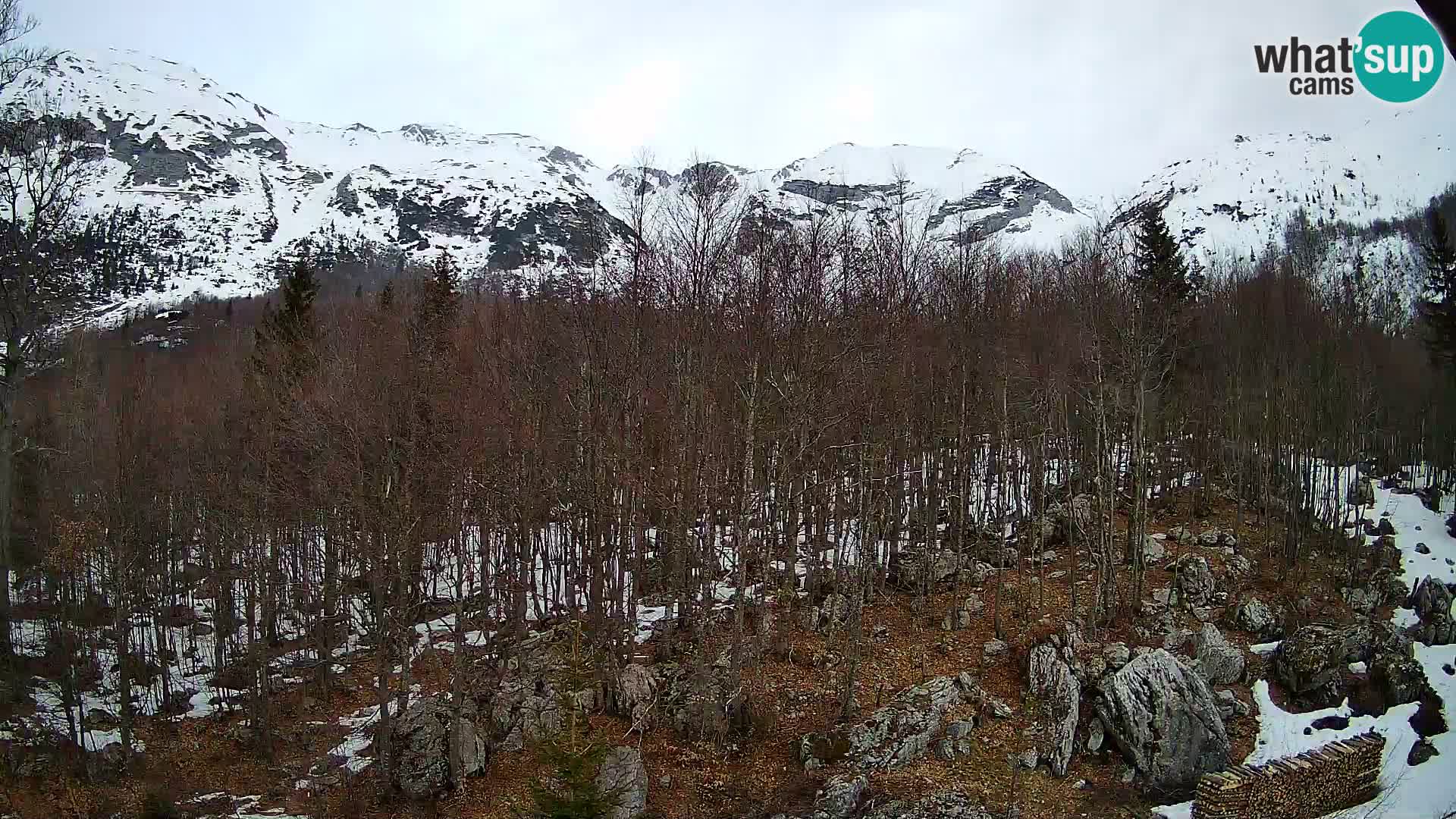 PLANINA RAZOR webcam (1315) | view to Vogel and Globoko