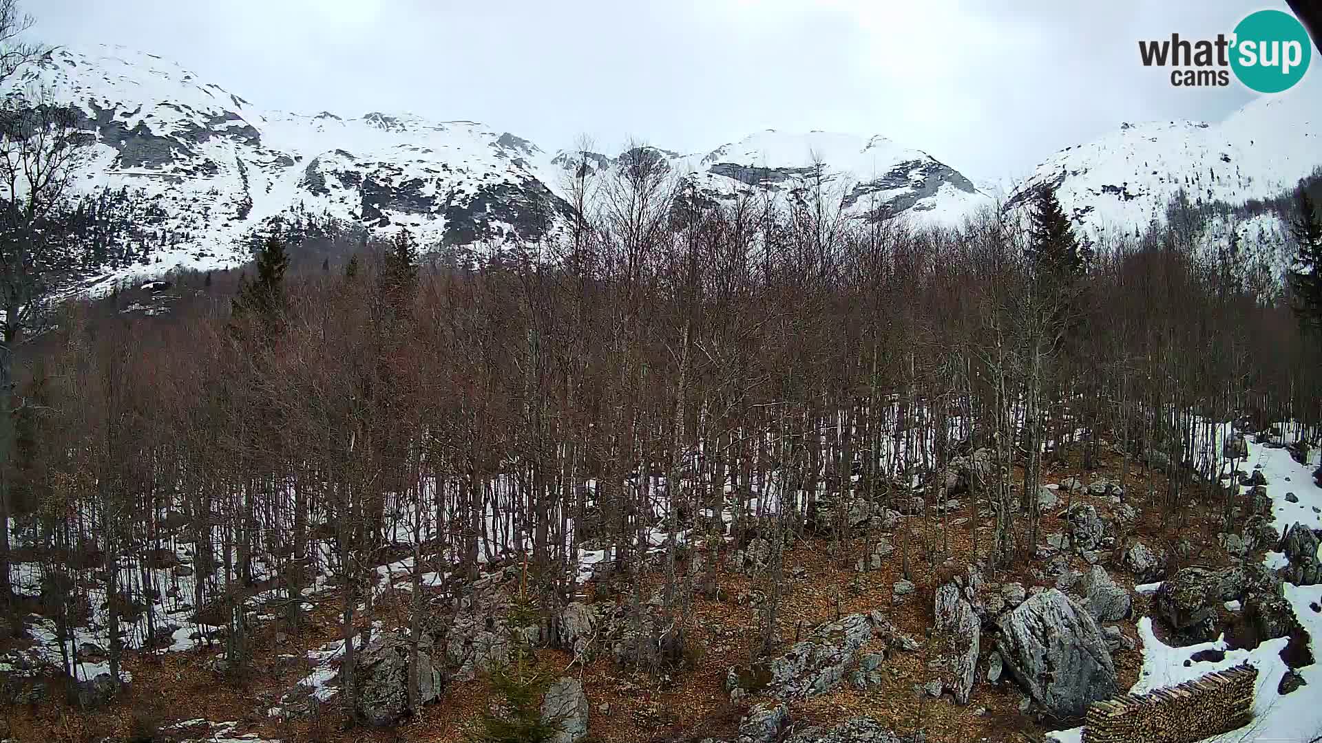 PLANINA RAZOR web kamera (1315) | pogled na Vogel i Globoko