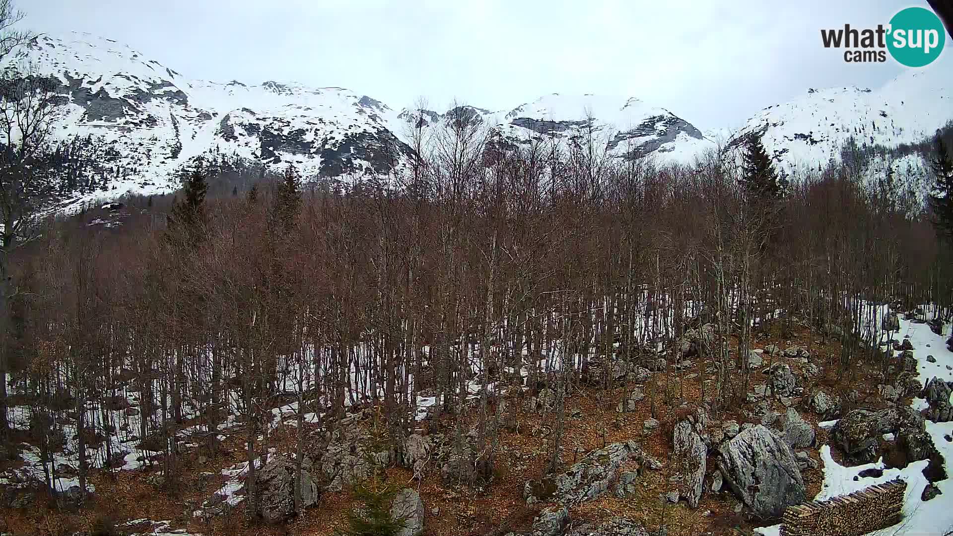 PLANINA RAZOR kamera (1315) | pogled na Vogel in Globoko