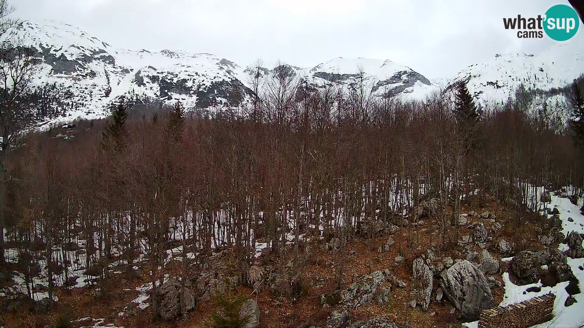 PLANINA RAZOR kamera (1315) | pogled na Vogel in Globoko