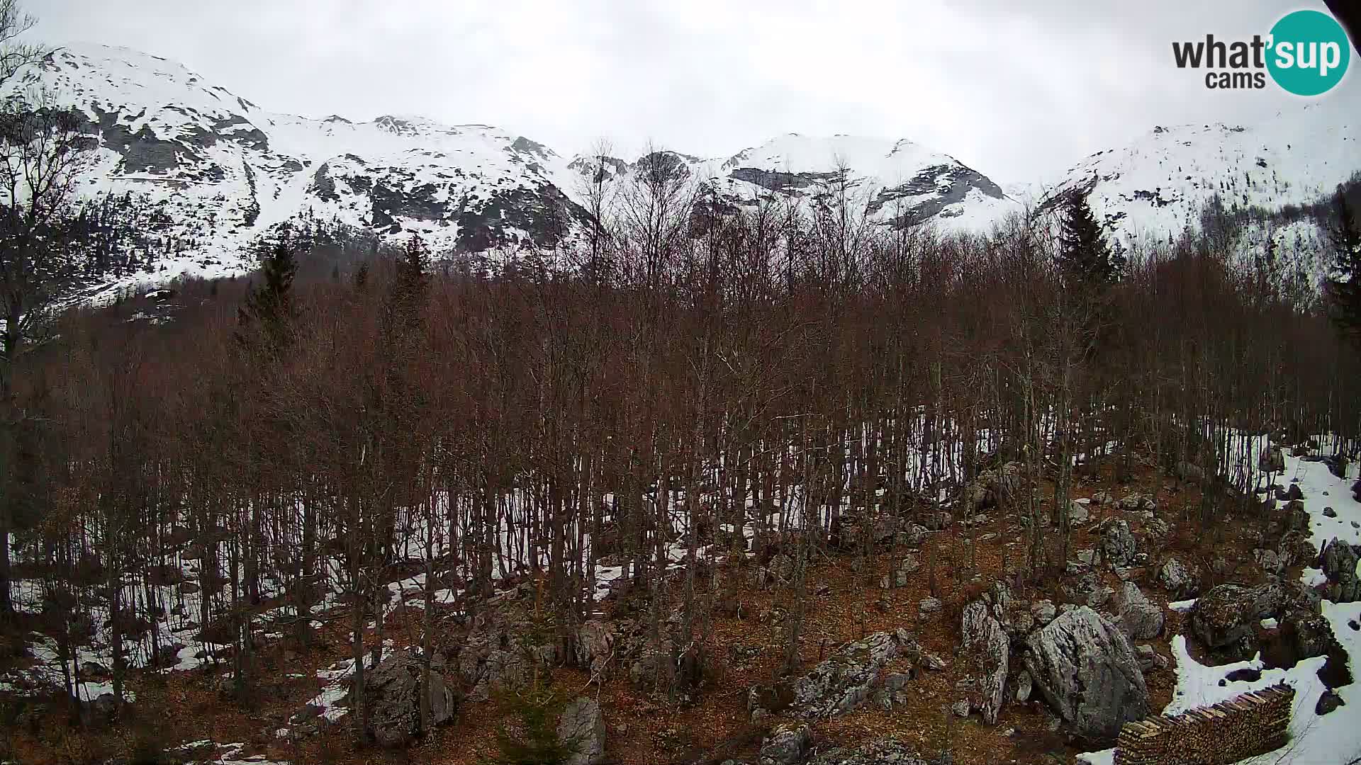 Livecam PLANINA RAZOR (1315) | vue sur Vogel et Globoko