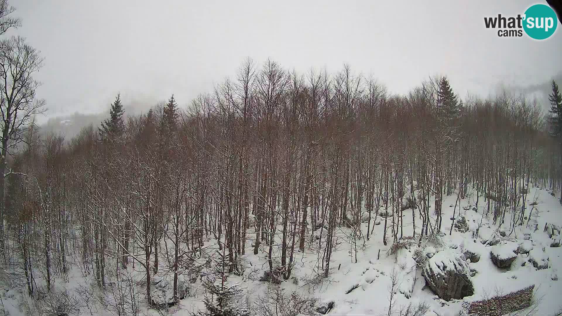 PLANINA RAZOR webcam (1315) | view to Vogel and Globoko