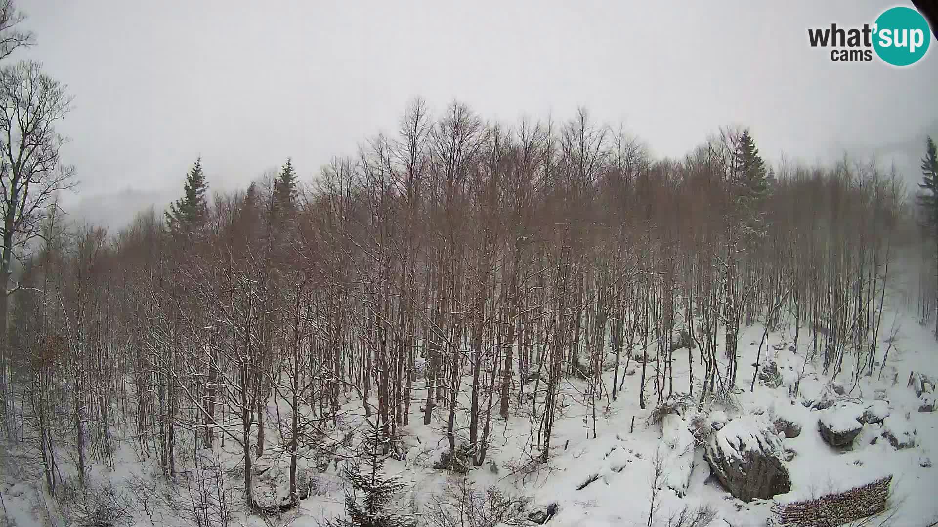 Livecam PLANINA RAZOR (1315) | vue sur Vogel et Globoko