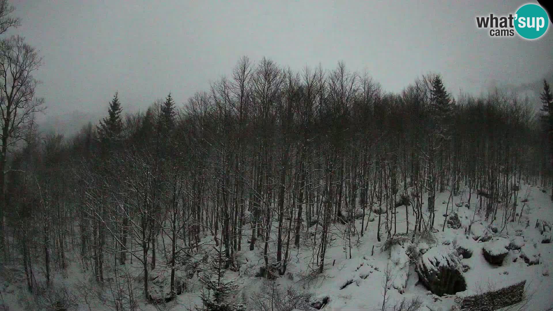 PLANINA RAZOR web kamera (1315) | pogled na Vogel i Globoko