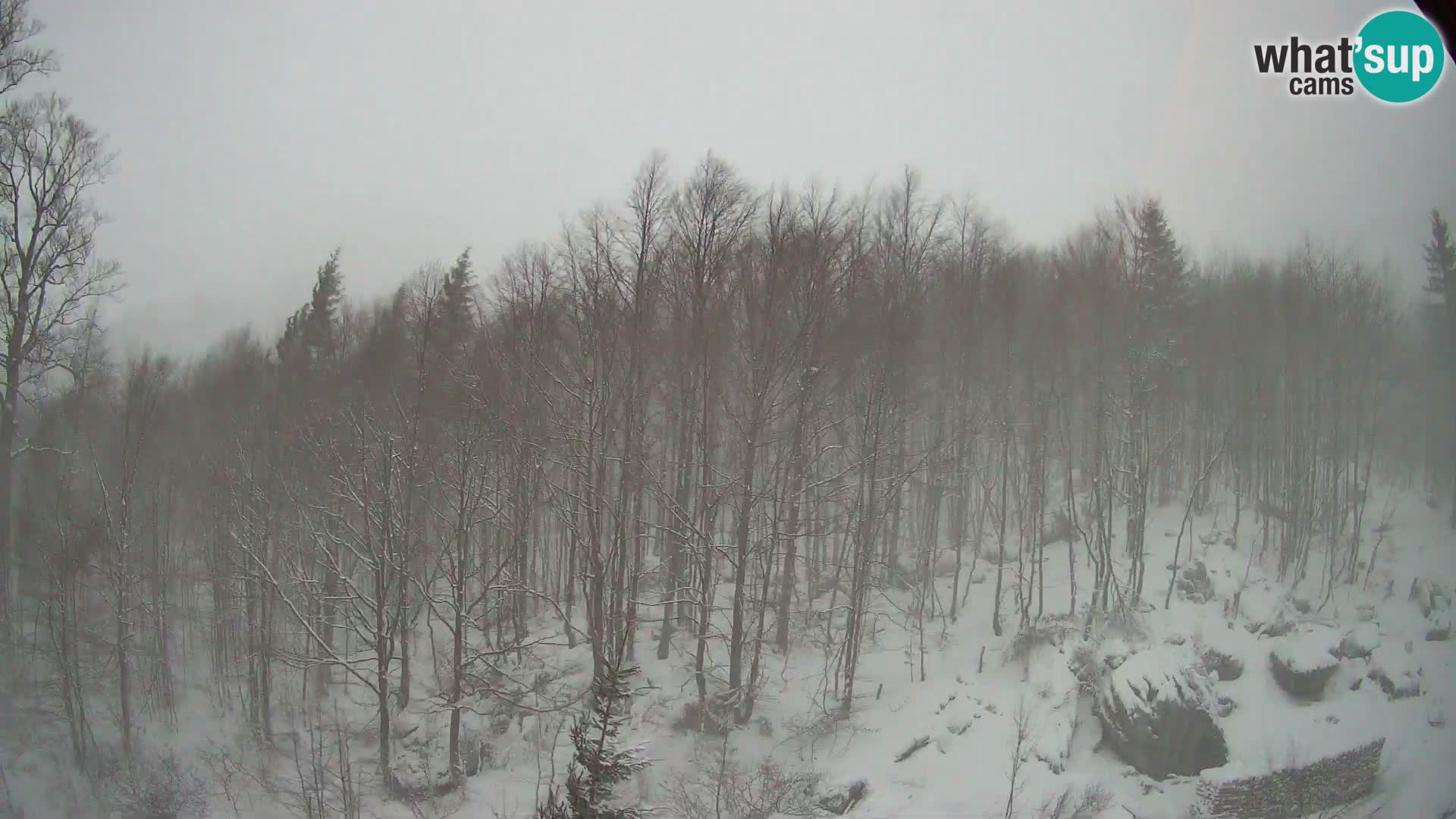 PLANINA RAZOR Live Cam (1315) | vista su Vogel e Globoko