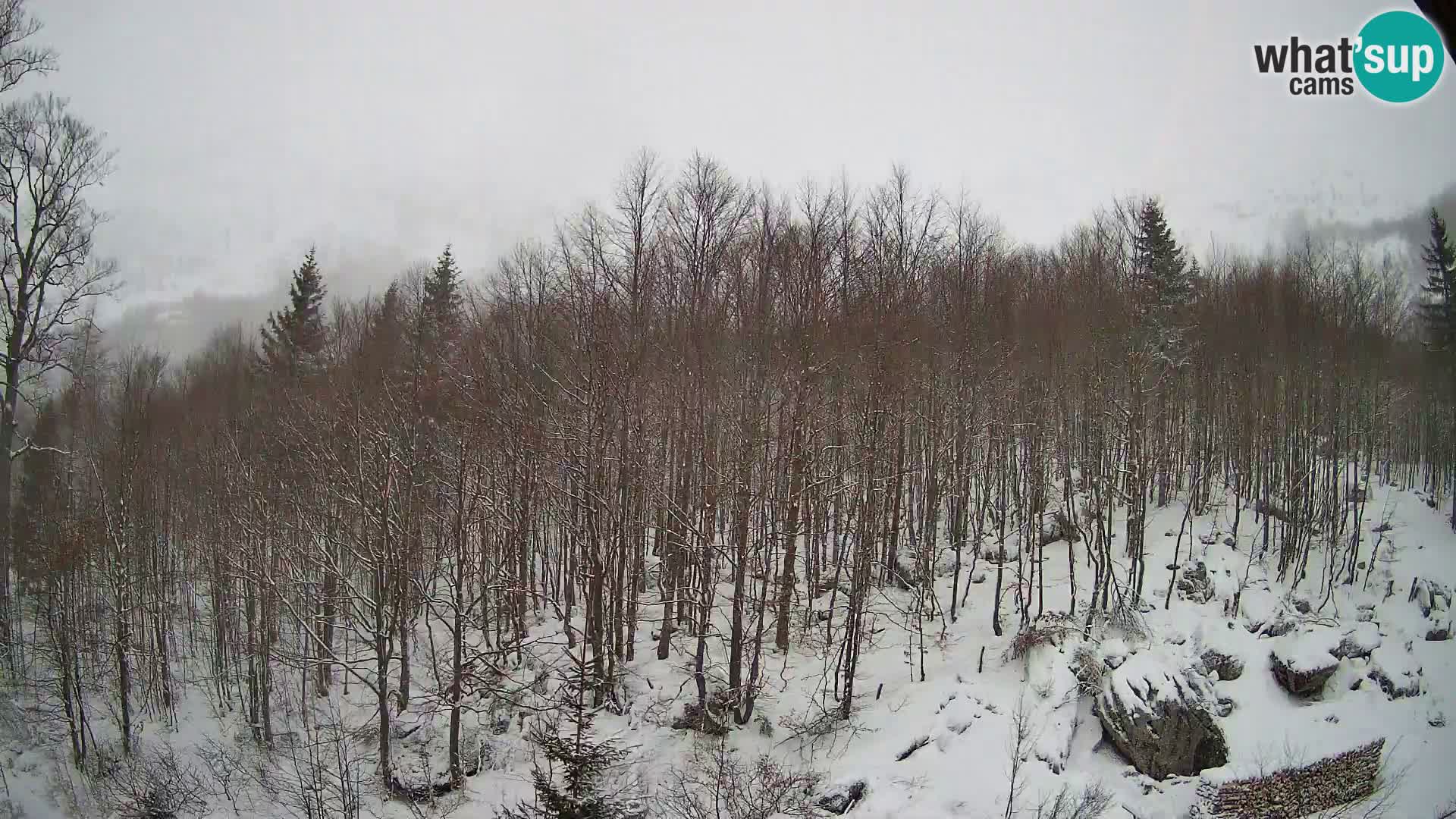 PLANINA RAZOR web kamera (1315) | pogled na Vogel i Globoko