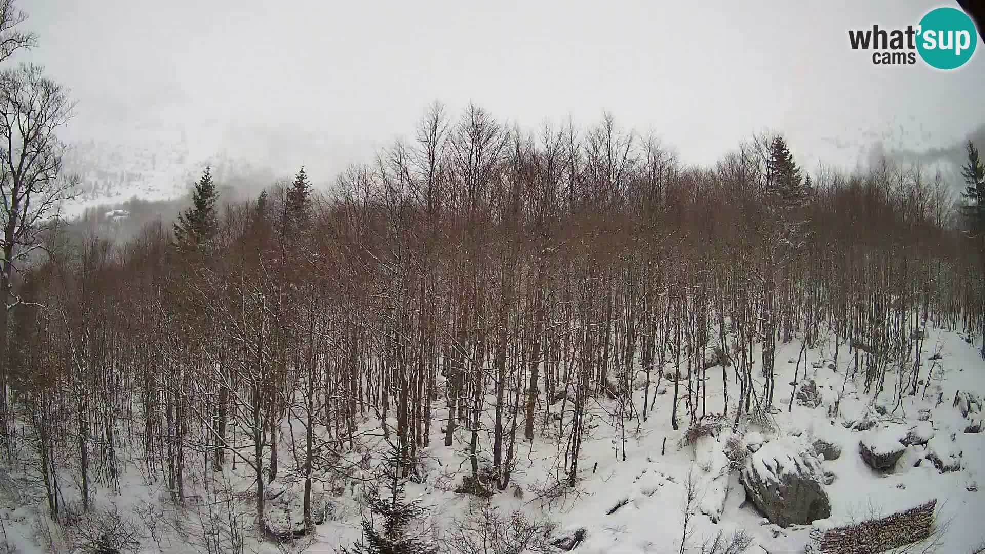 PLANINA RAZOR web kamera (1315) | pogled na Vogel i Globoko