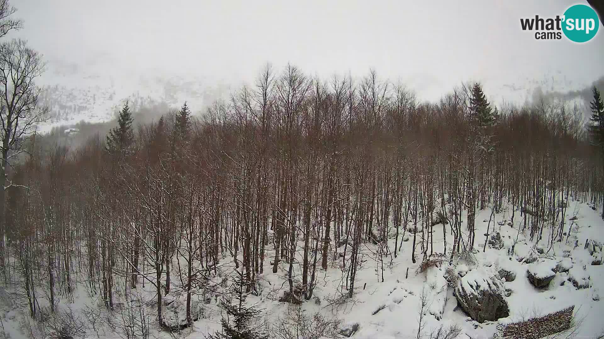 PLANINA RAZOR kamera (1315) | pogled na Vogel in Globoko