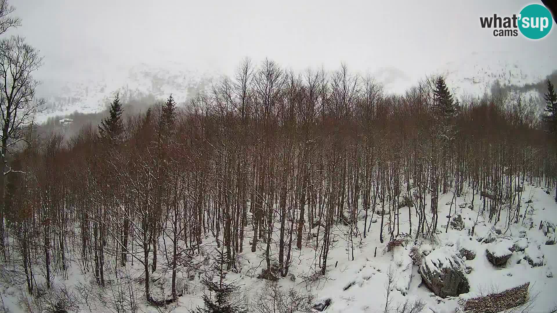 PLANINA RAZOR kamera (1315) | pogled na Vogel in Globoko