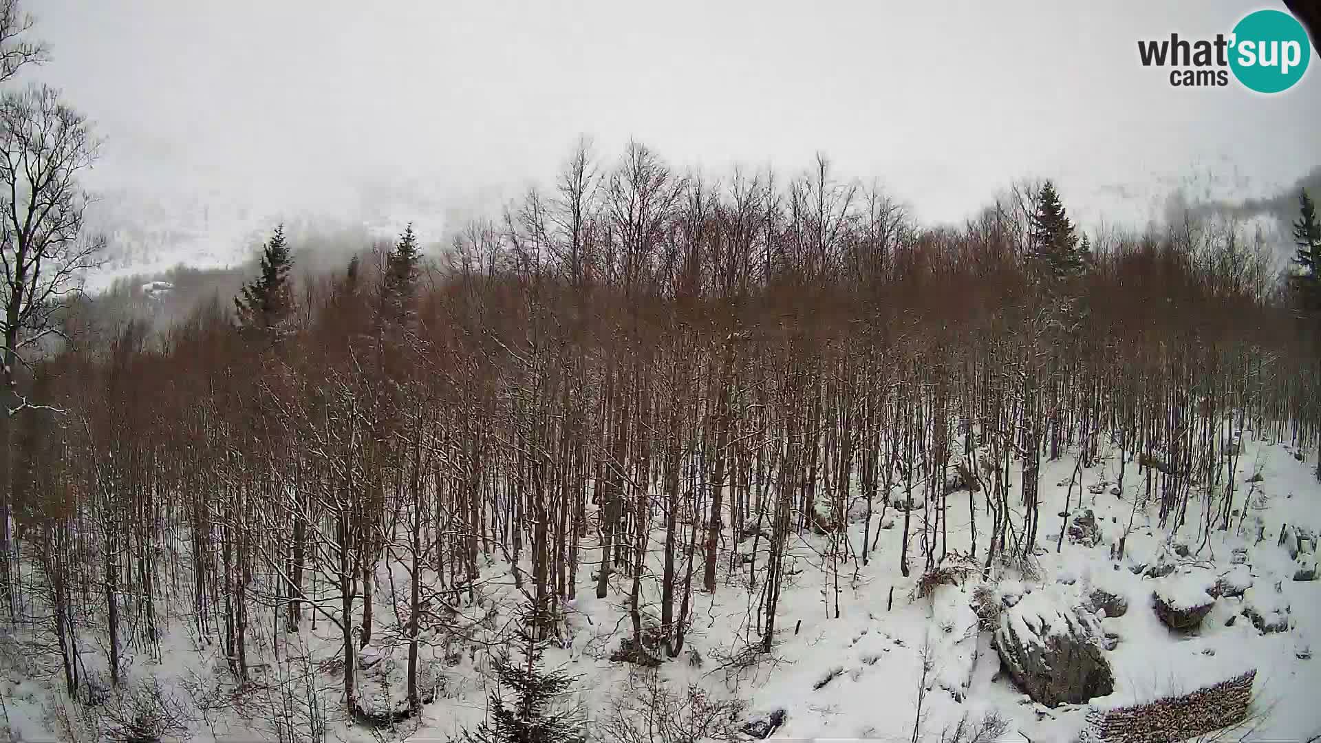 PLANINA RAZOR webcam (1315) | view to Vogel and Globoko