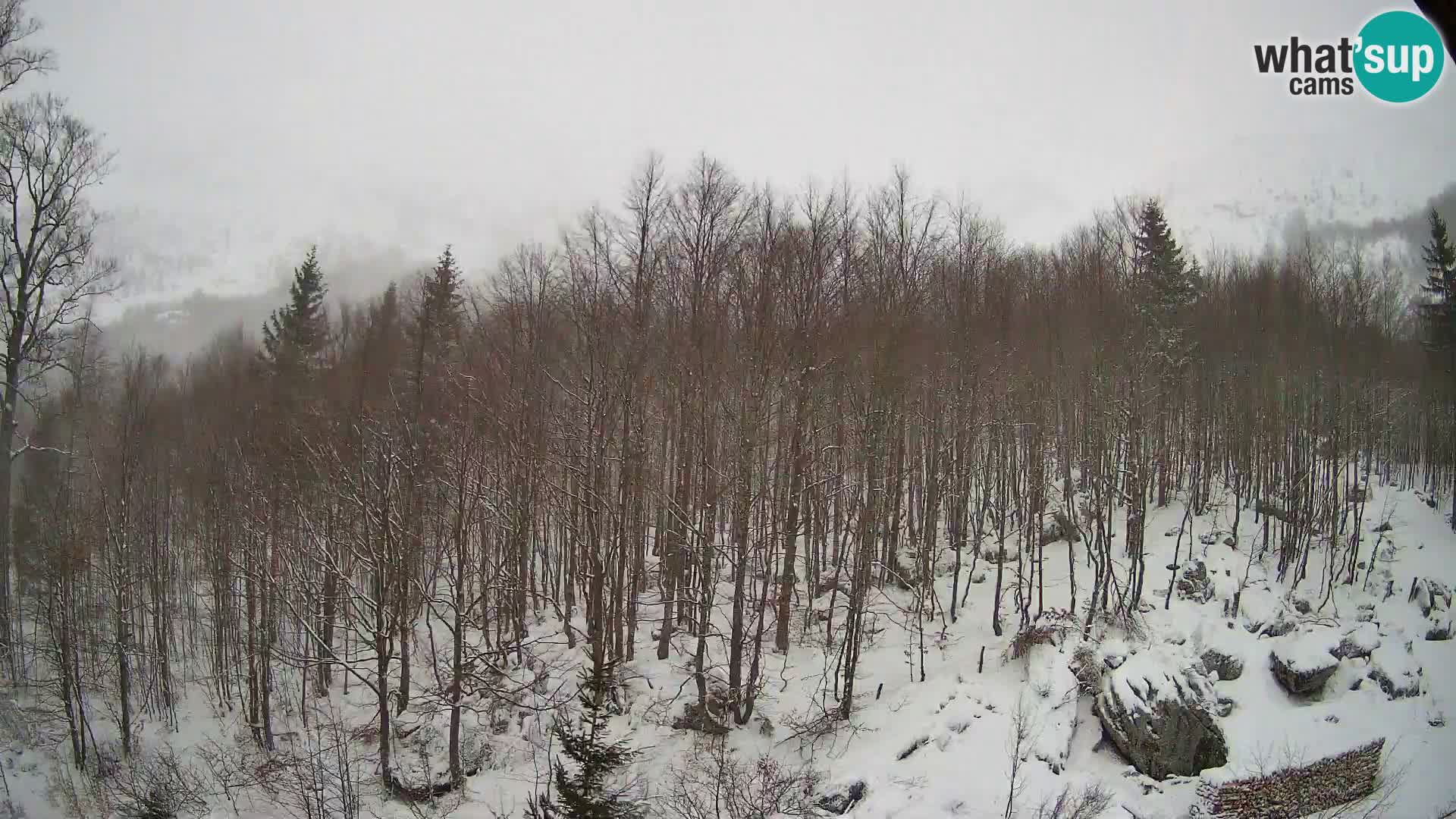 Livecam PLANINA RAZOR (1315) | vue sur Vogel et Globoko