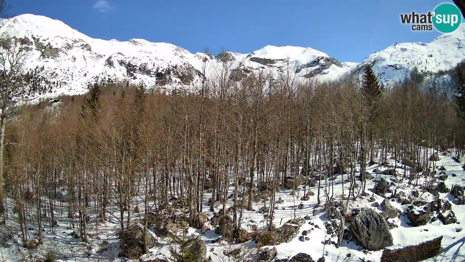 Livecam PLANINA RAZOR (1315) | vue sur Vogel et Globoko