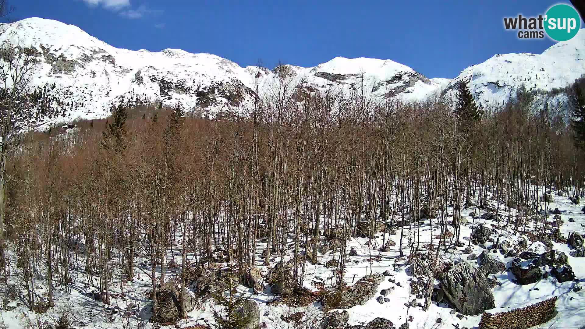 Cámara web PLANINA RAZOR (1315) | vista a Vogel y Globoko
