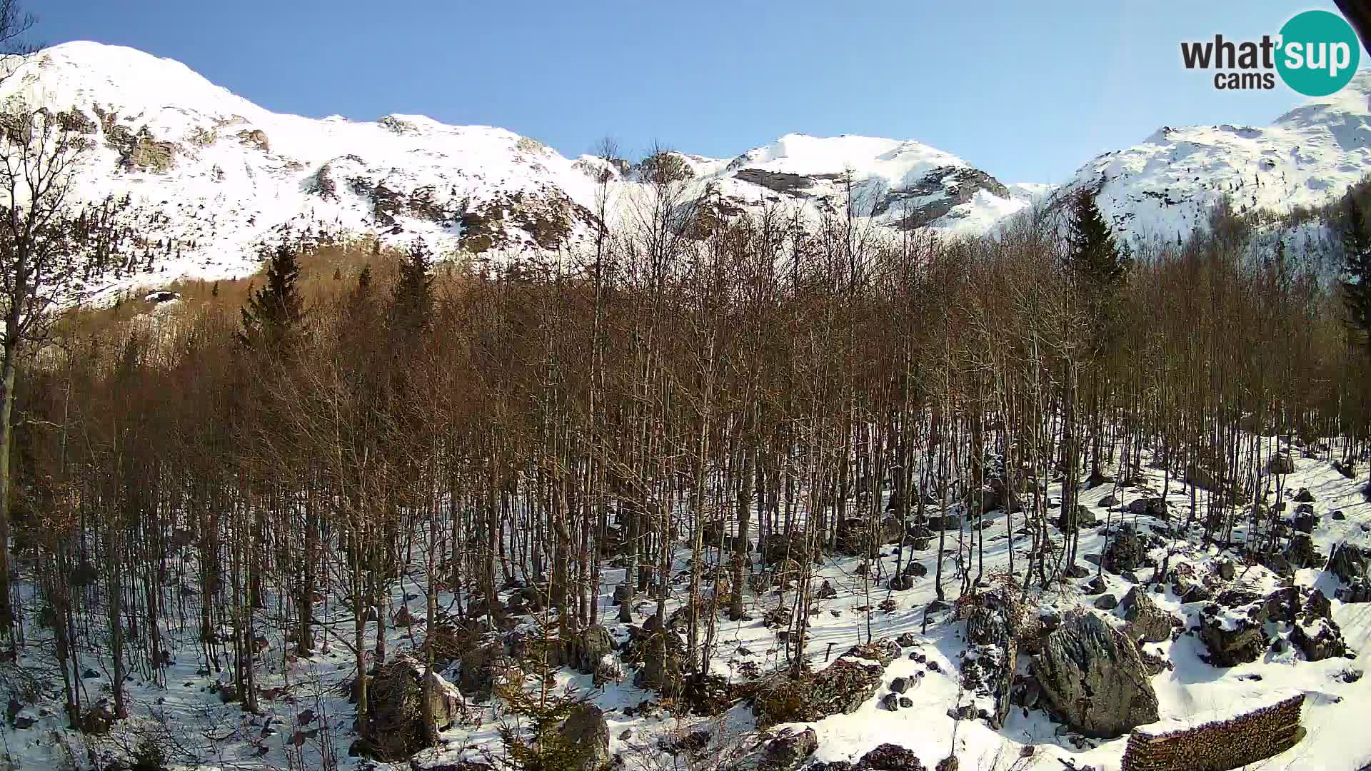 PLANINA RAZOR Live Cam (1315) | vista su Vogel e Globoko