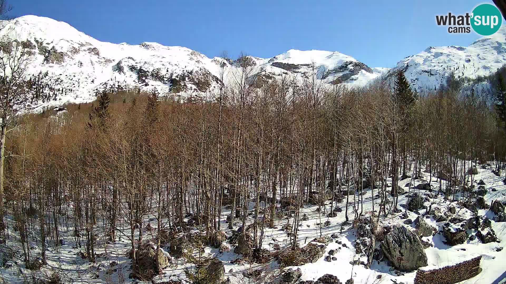 Livecam PLANINA RAZOR (1315) | vue sur Vogel et Globoko