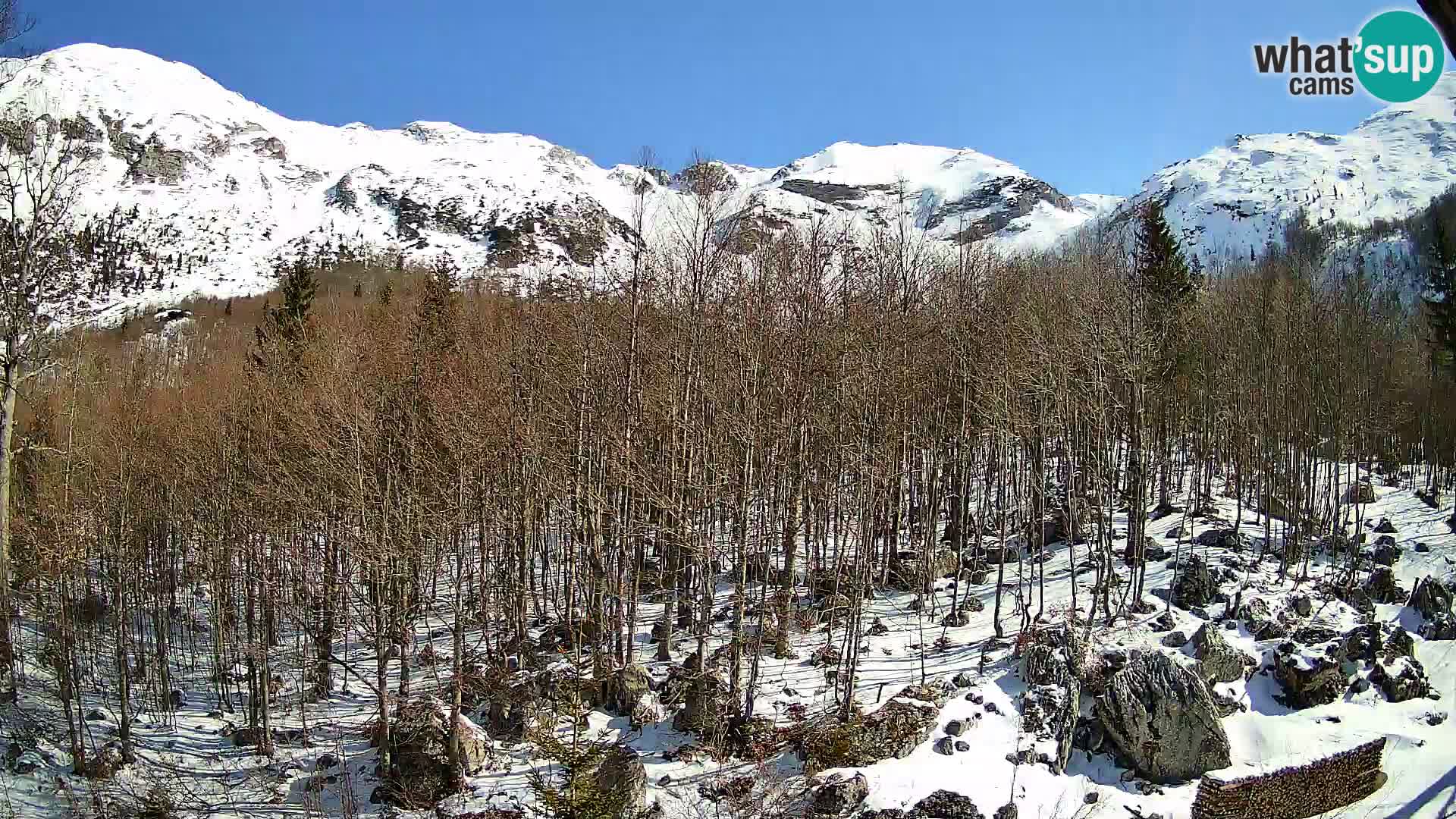 Webcam PLANINA RAZOR (1315) | Blick auf Vogel und Globoko