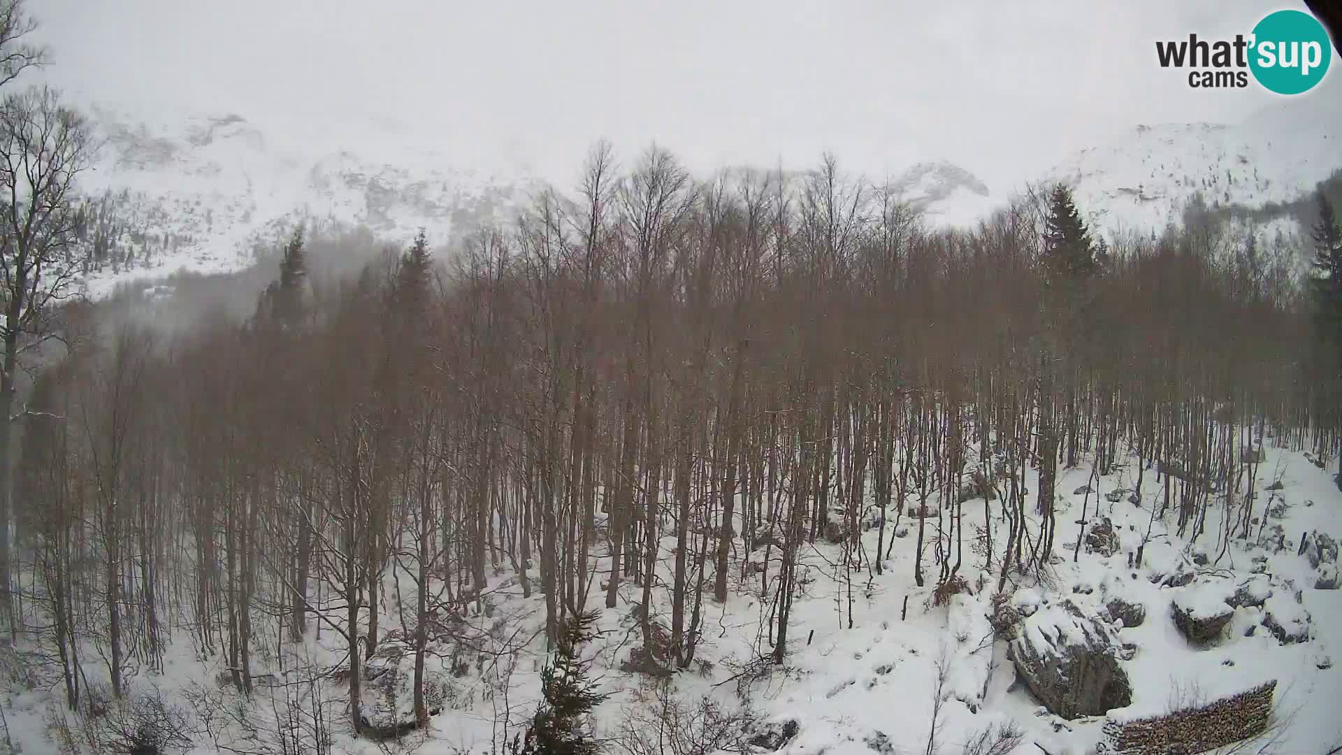 Webcam PLANINA RAZOR (1315) | Blick auf Vogel und Globoko