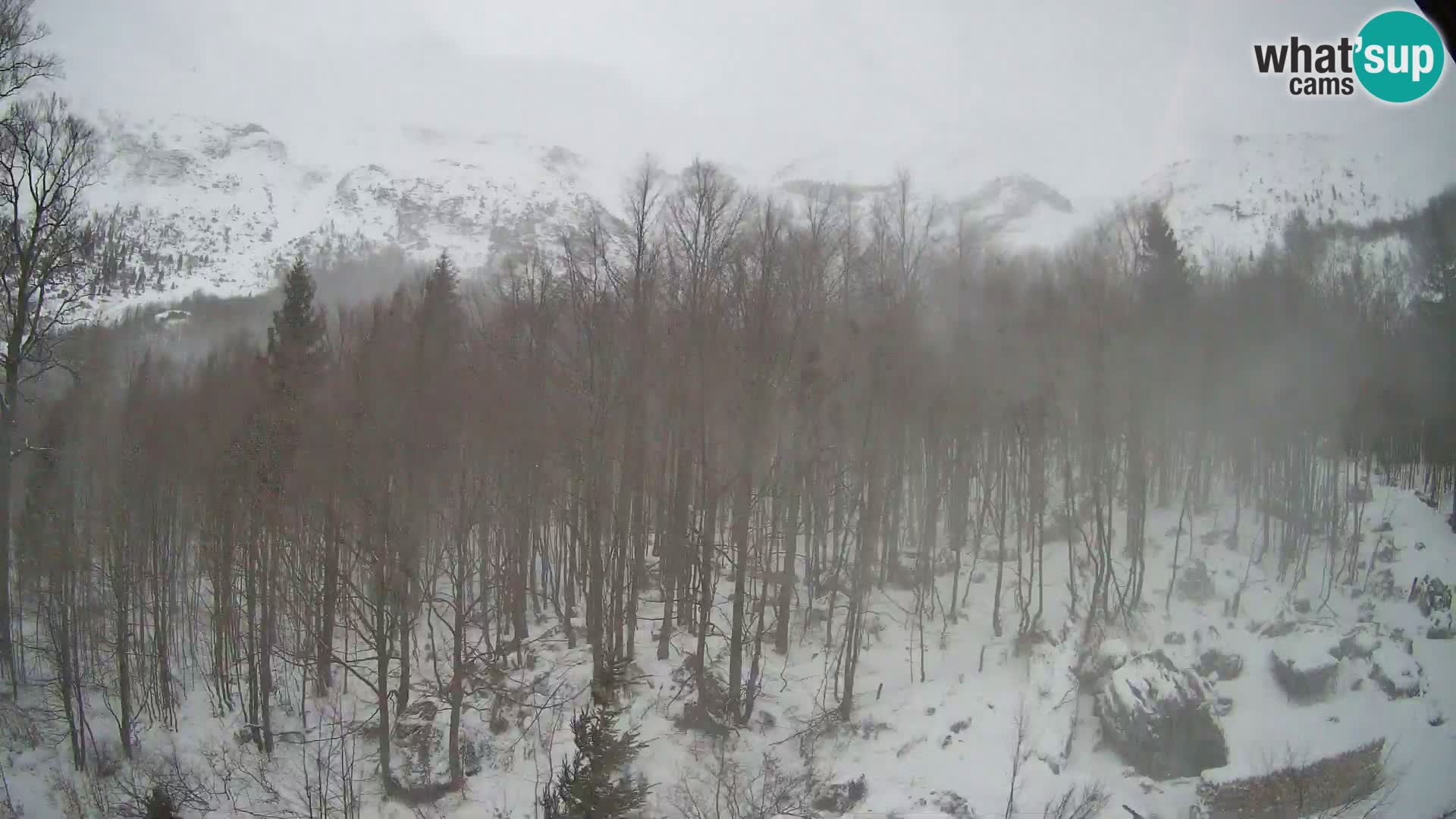 Livecam PLANINA RAZOR (1315) | vue sur Vogel et Globoko