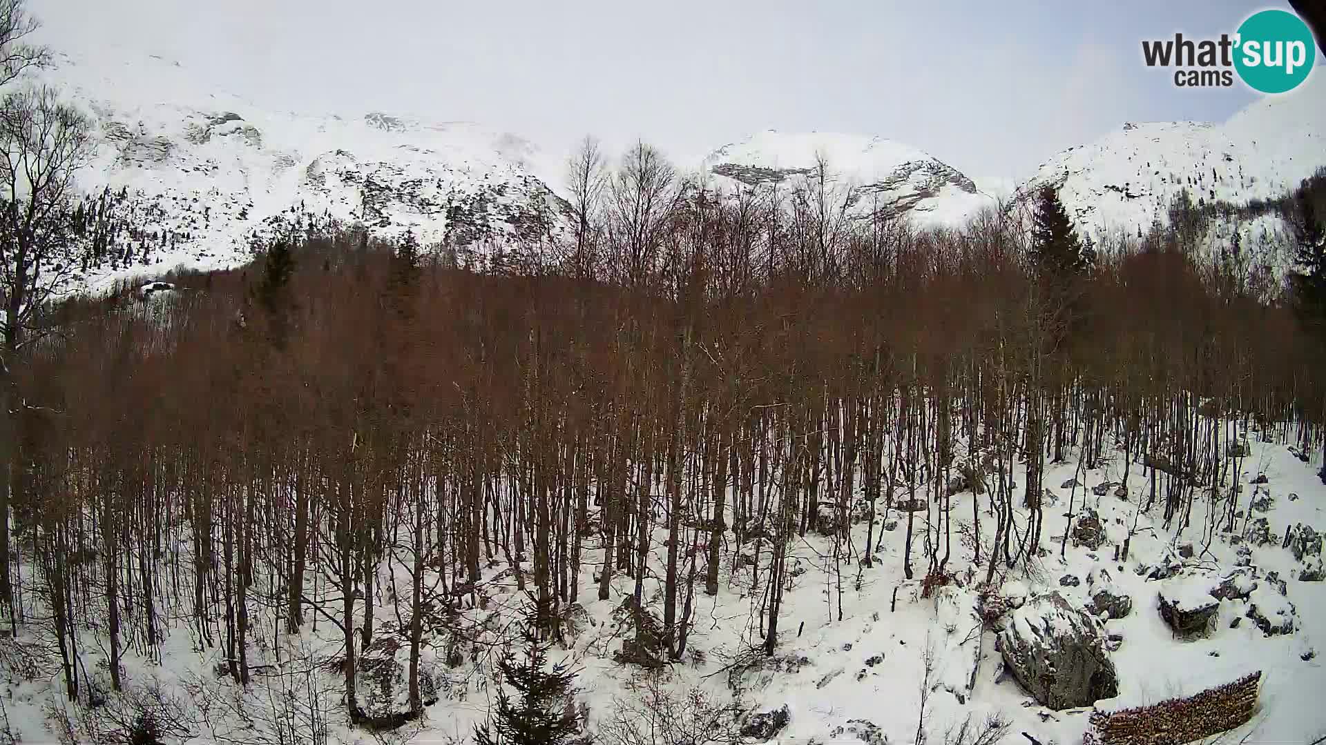 Livecam PLANINA RAZOR (1315) | vue sur Vogel et Globoko