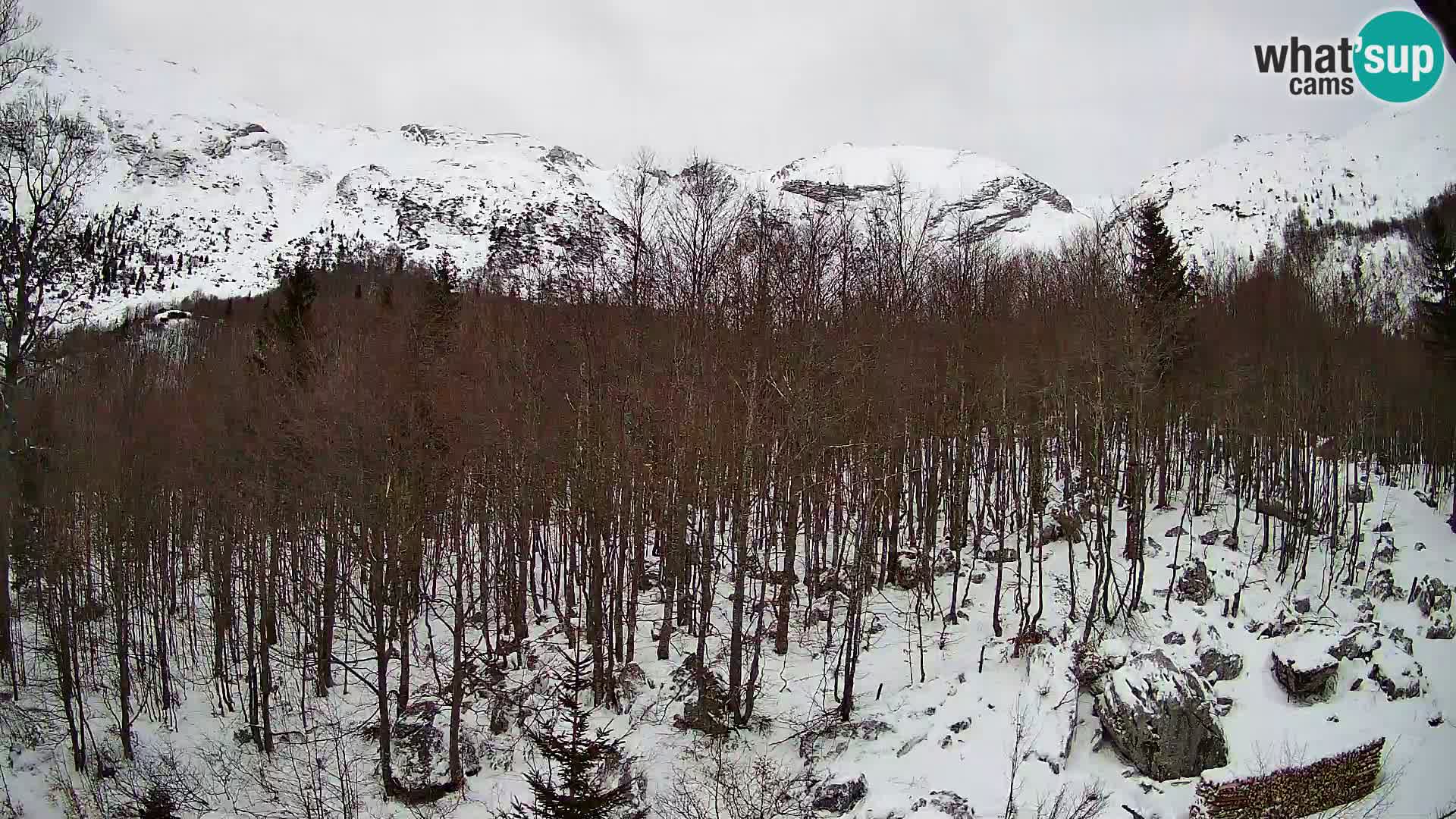 Webcam PLANINA RAZOR (1315) | Blick auf Vogel und Globoko