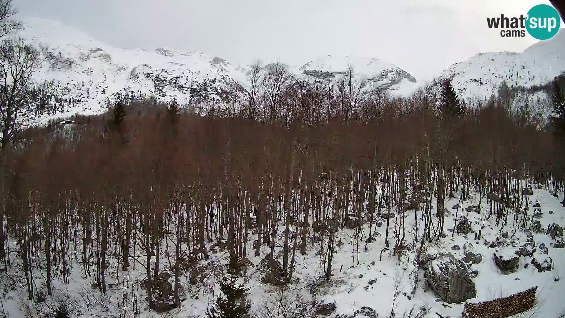 PLANINA RAZOR Live Cam (1315) | vista su Vogel e Globoko