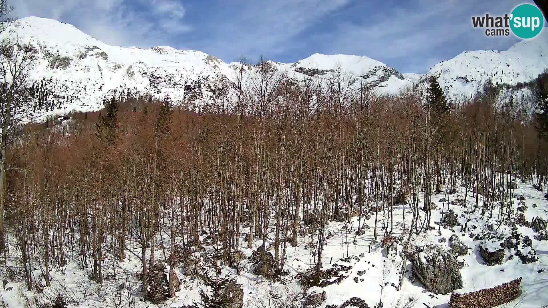 PLANINA RAZOR webcam (1315) | view to Vogel and Globoko